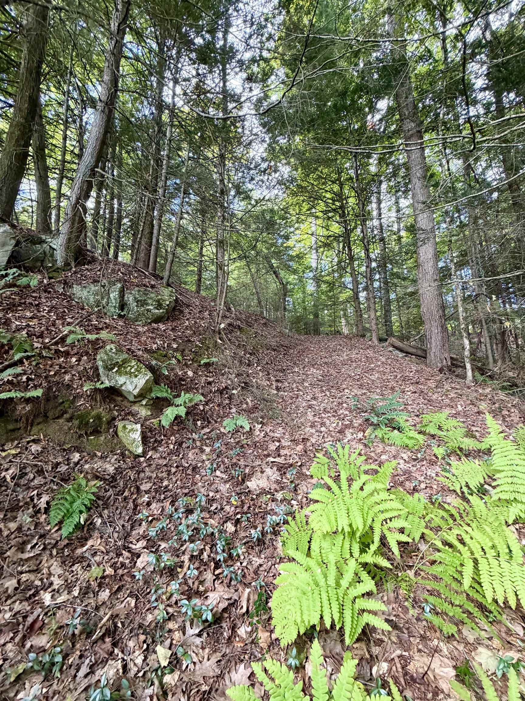 main property photo 39