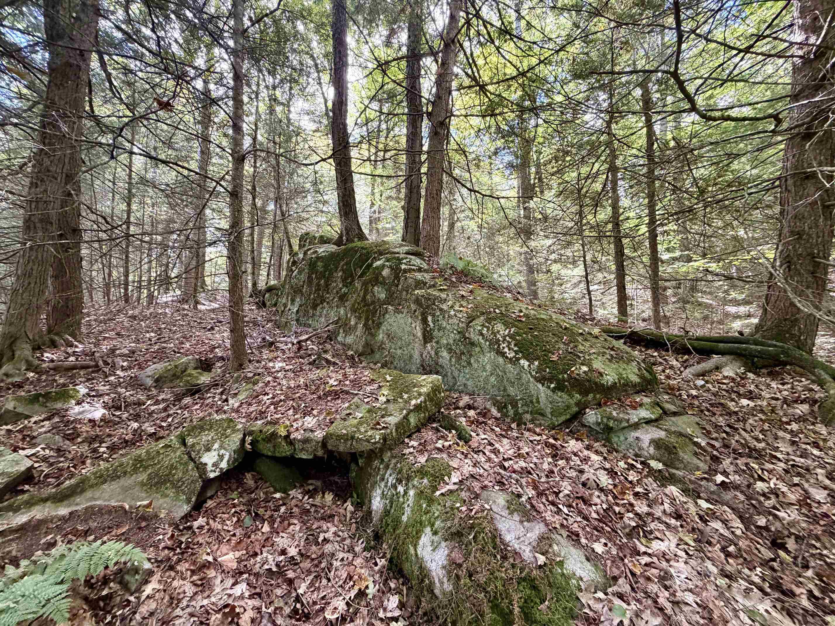 main property photo 40