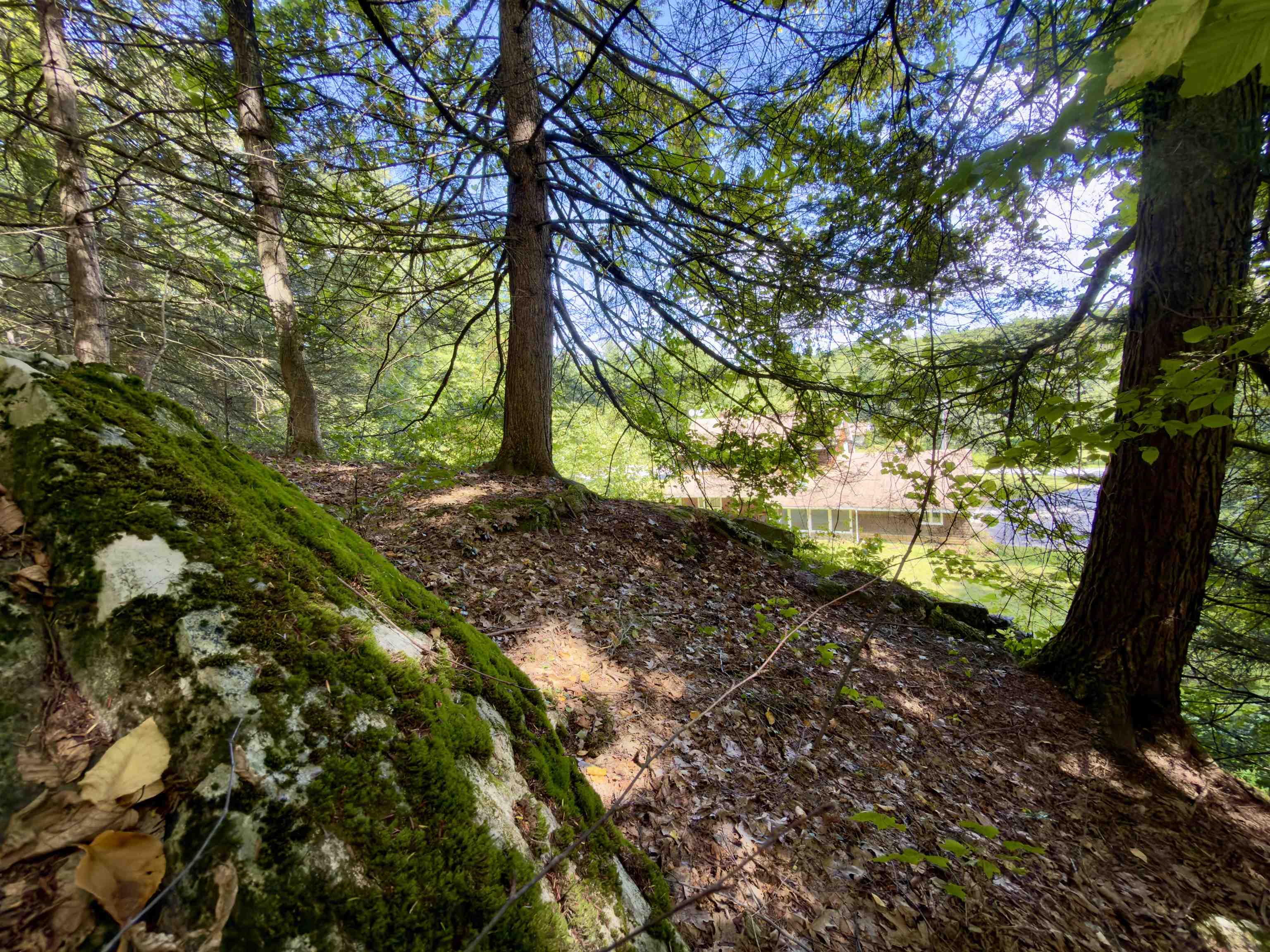 main property photo 41