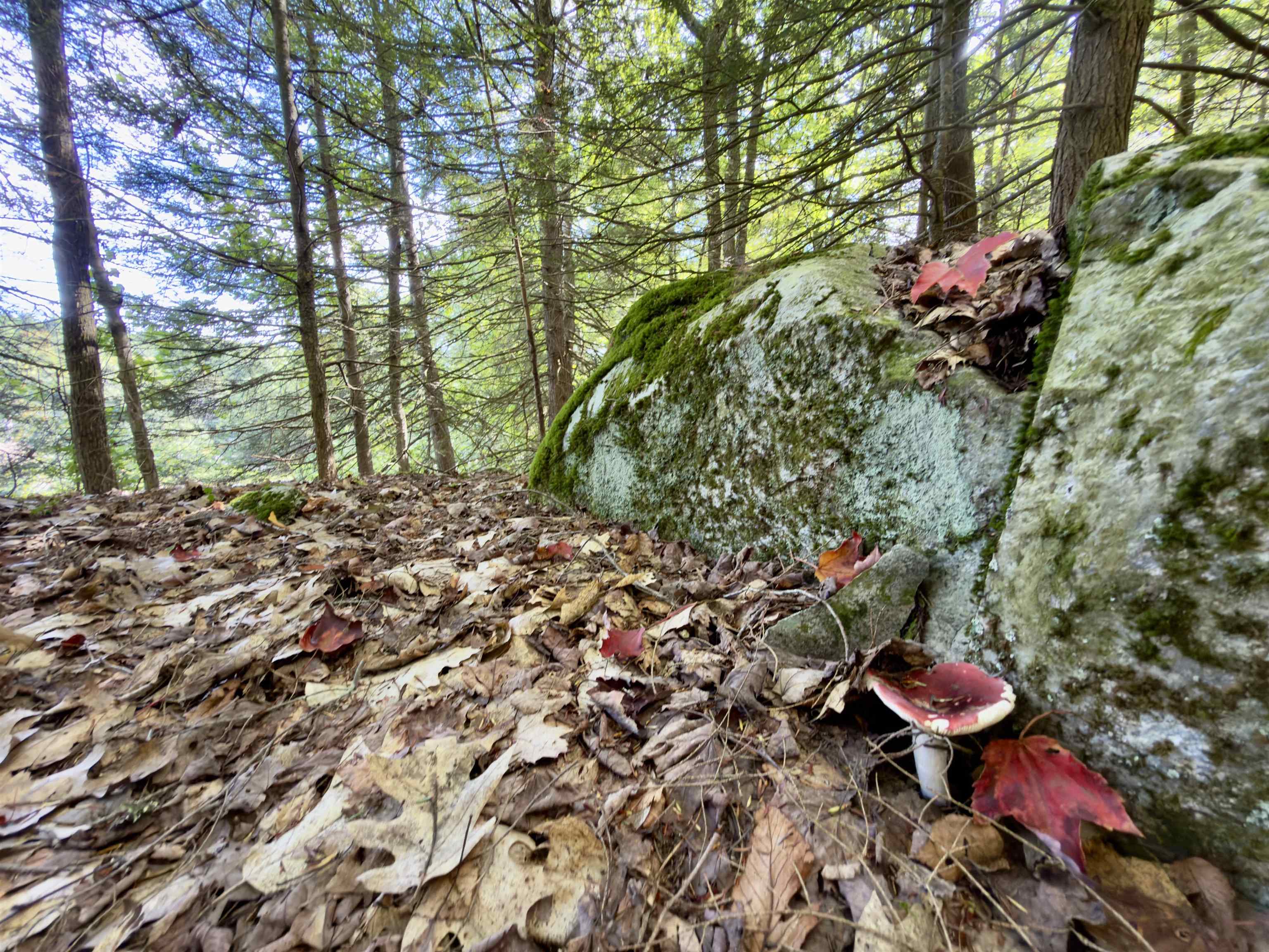 main property photo 42