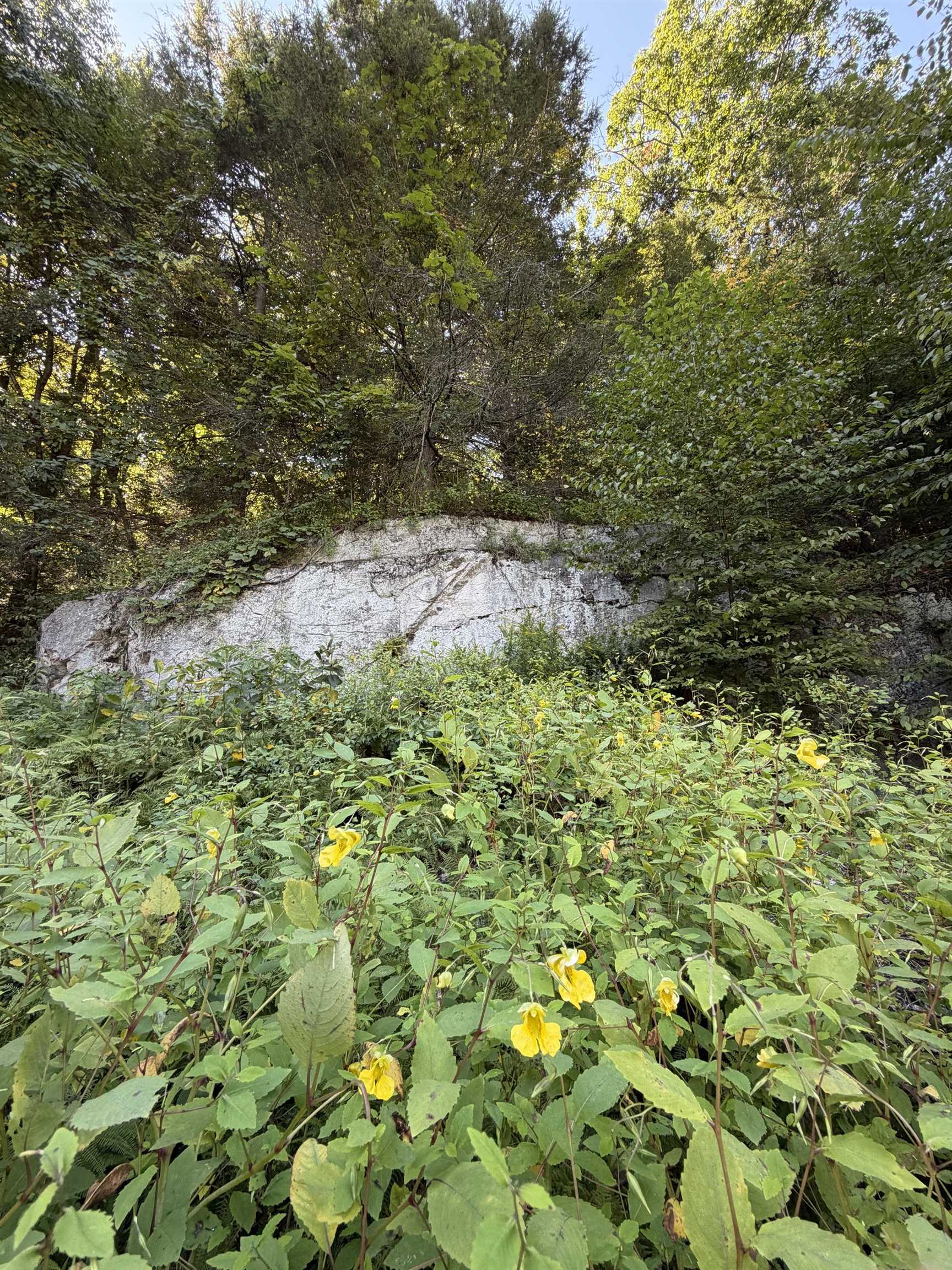 main property photo 46