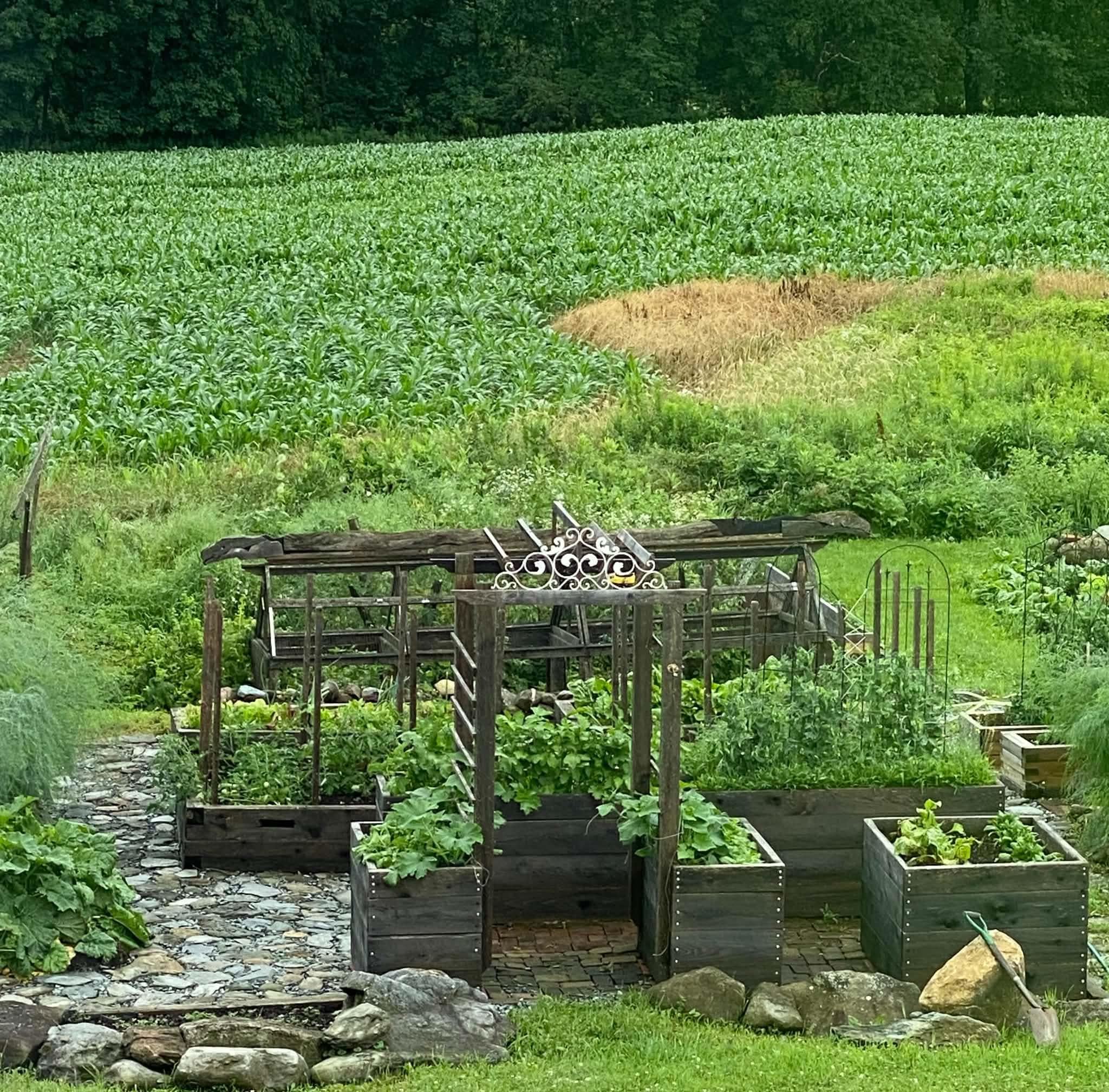 main property photo 52