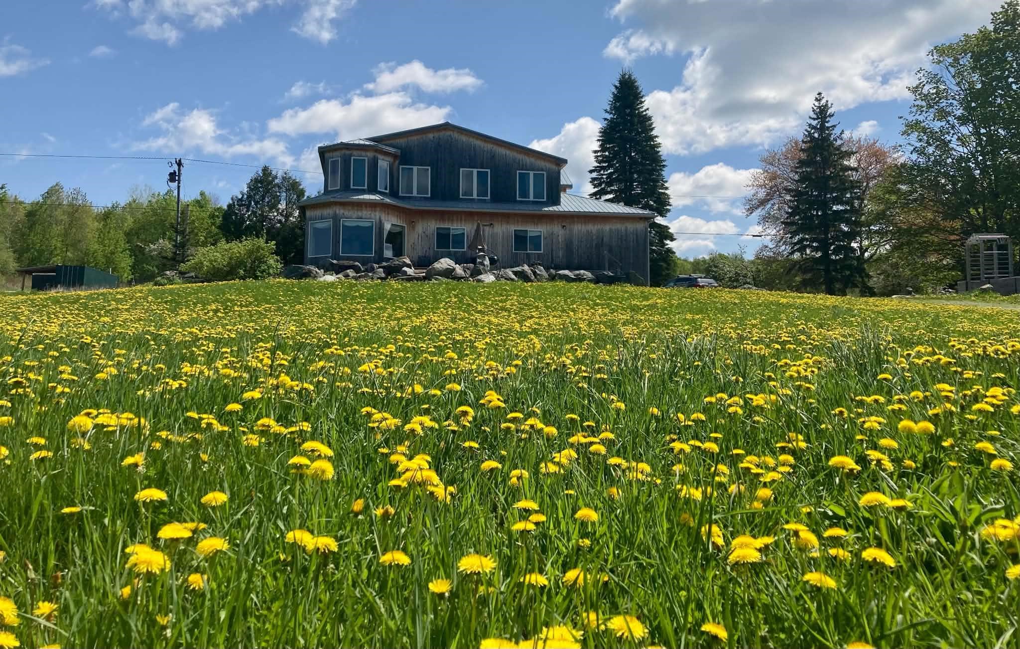 main property photo 53