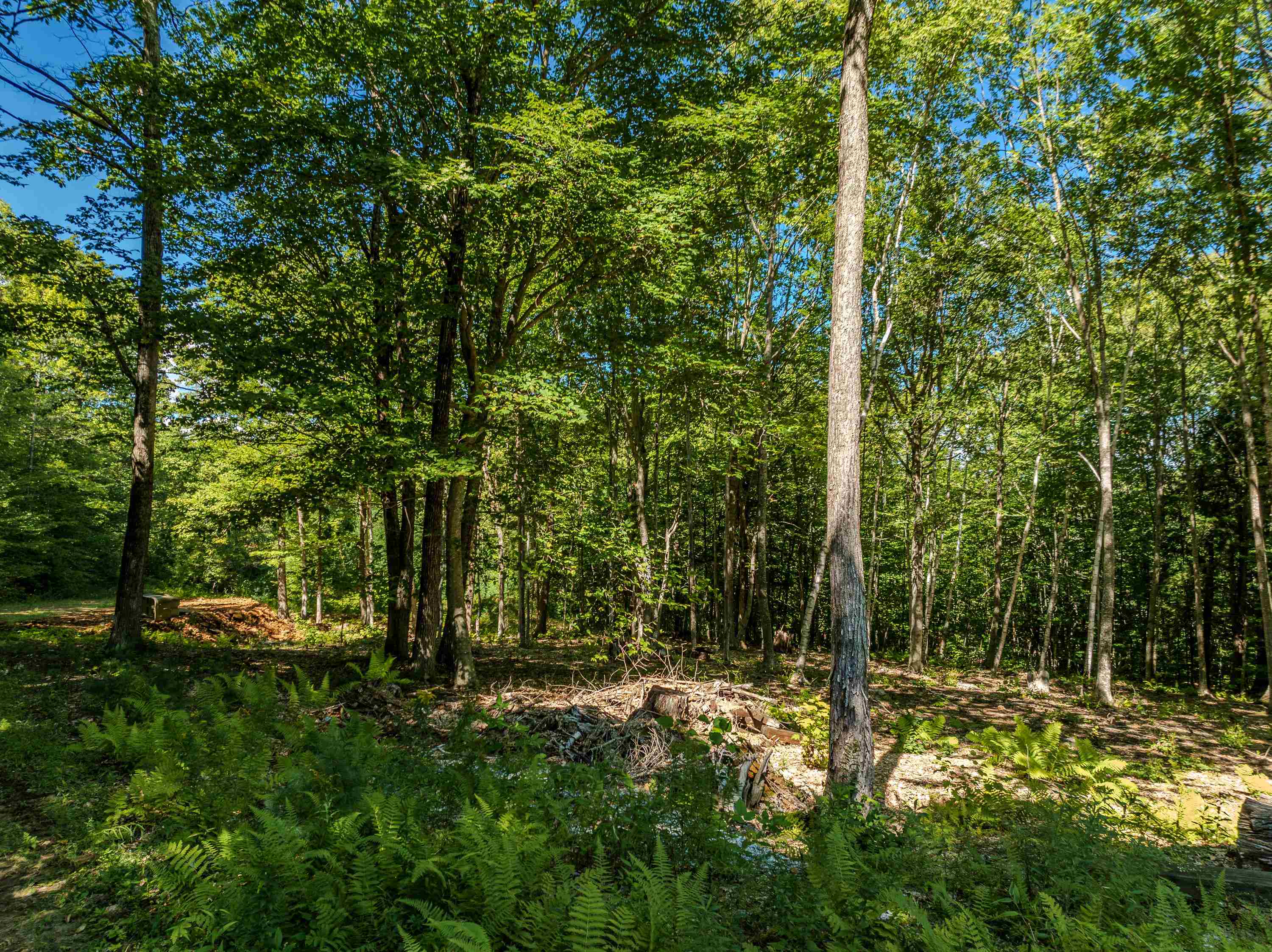 main property photo 7
