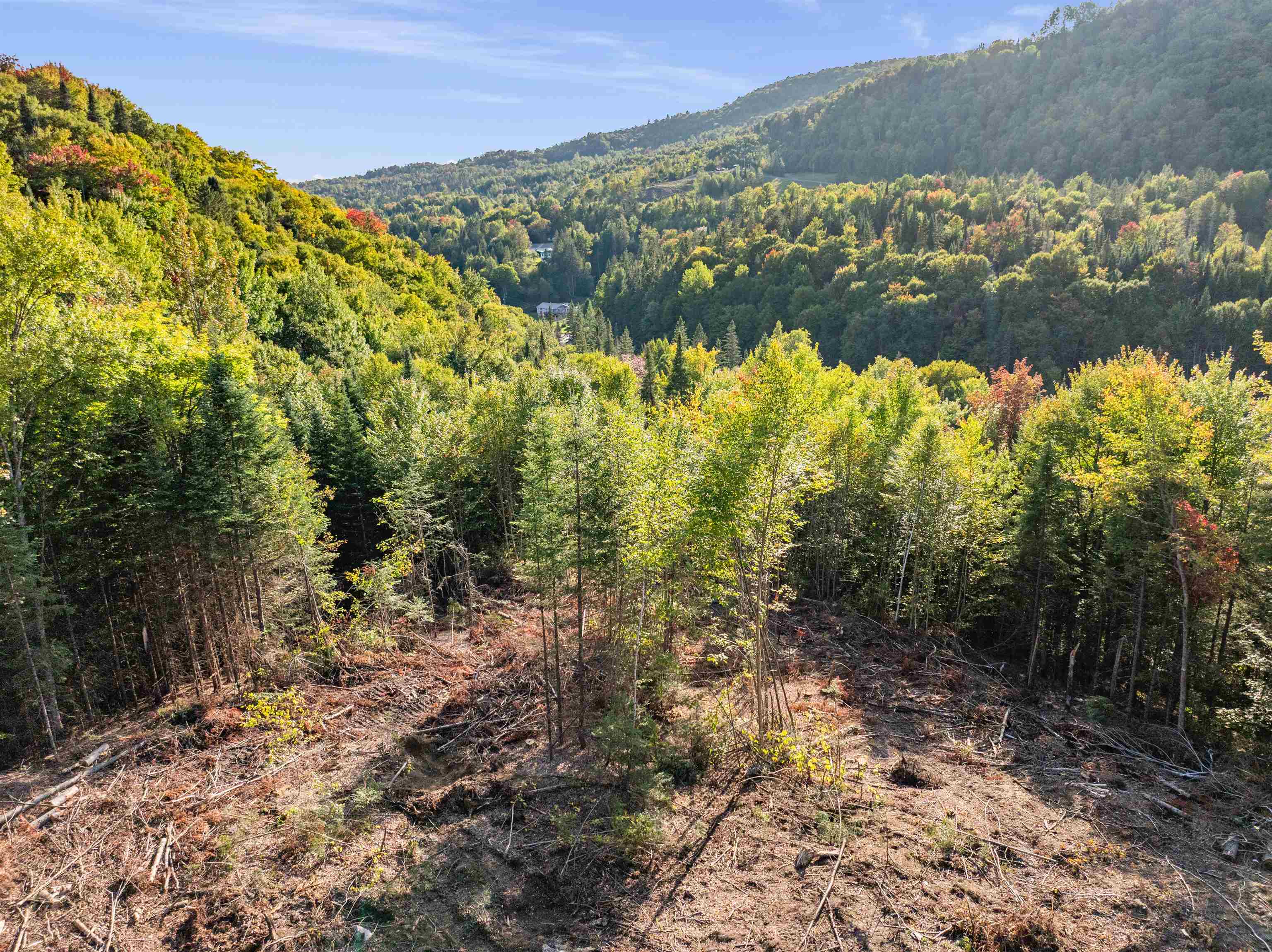 main property photo 42