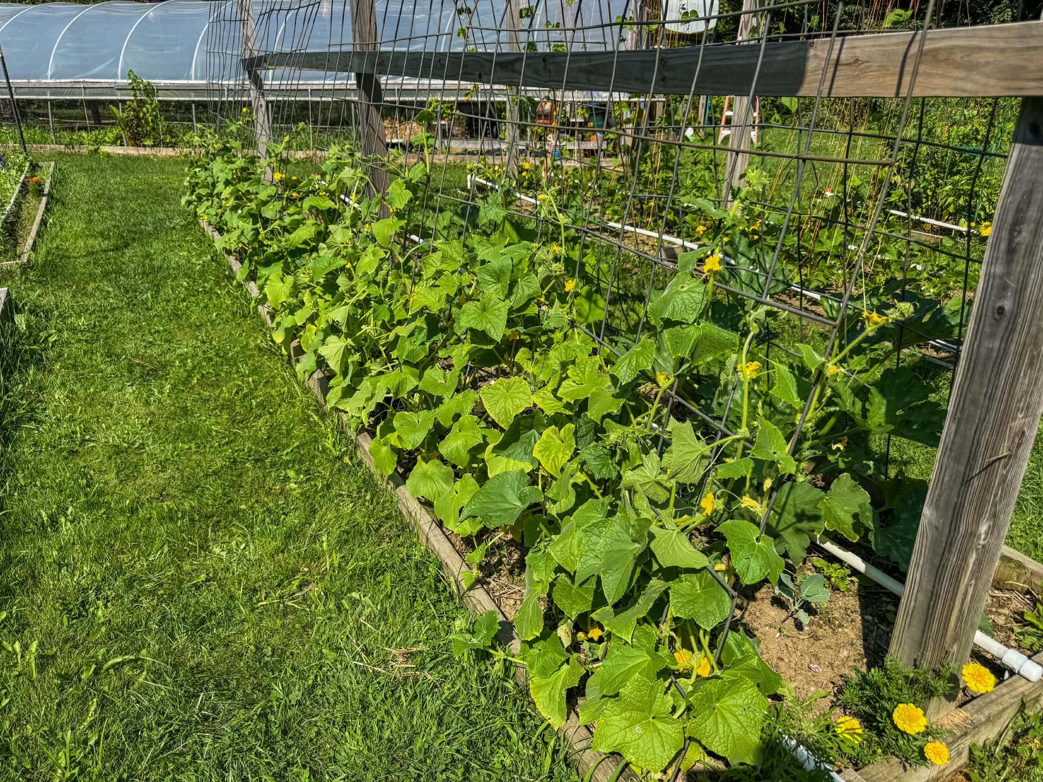 main property photo 42