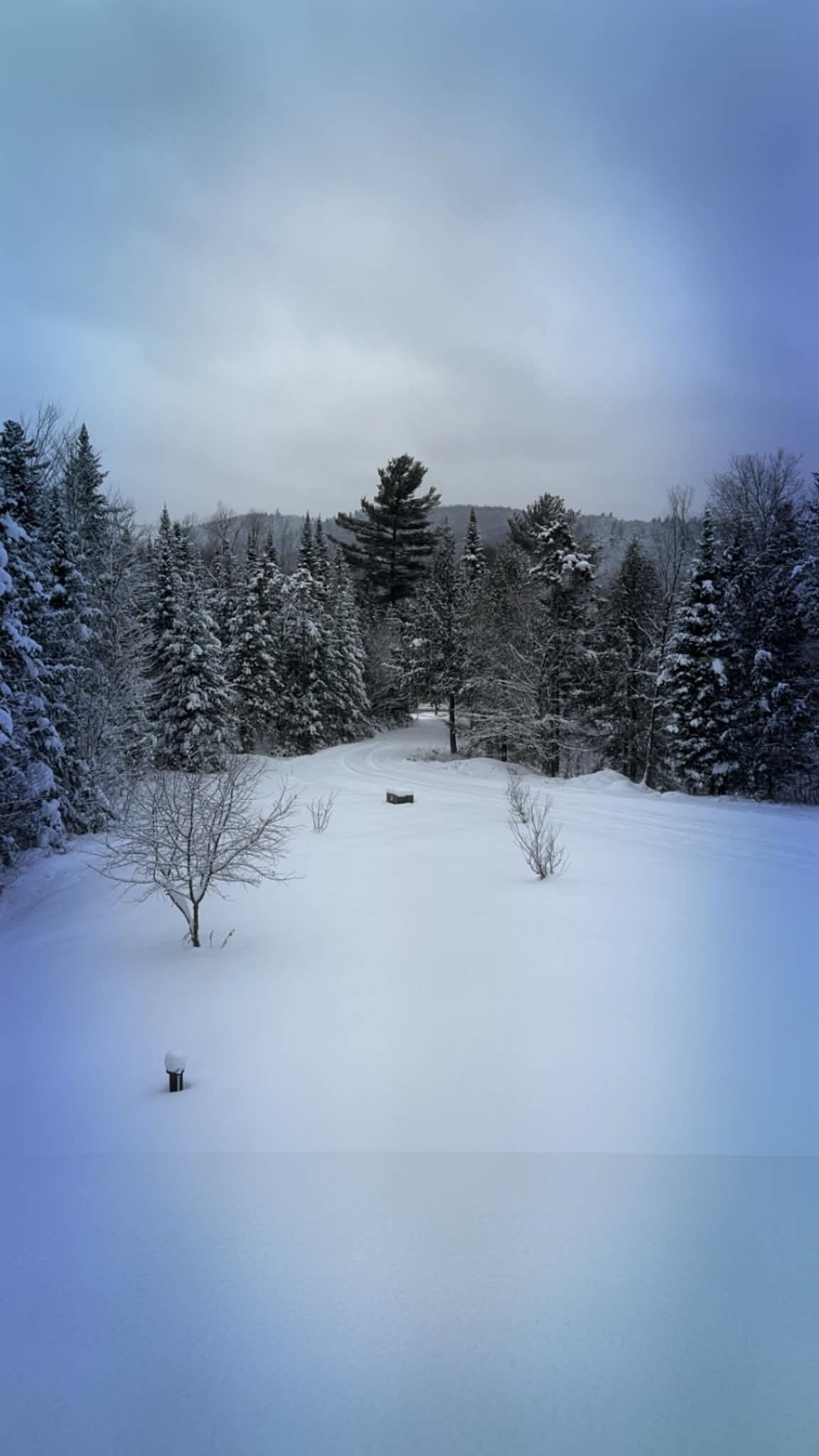 main property photo 54