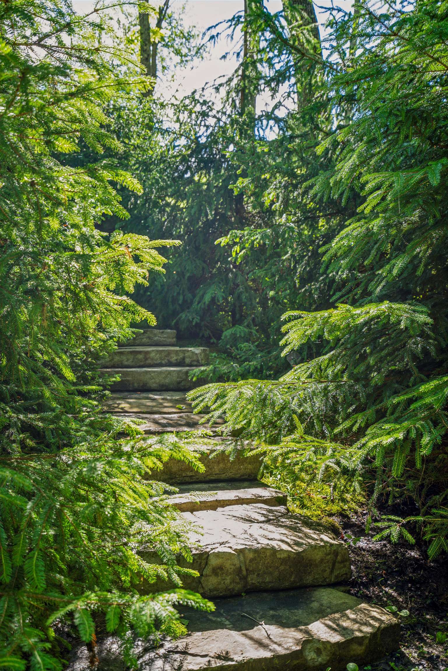 main property photo 51