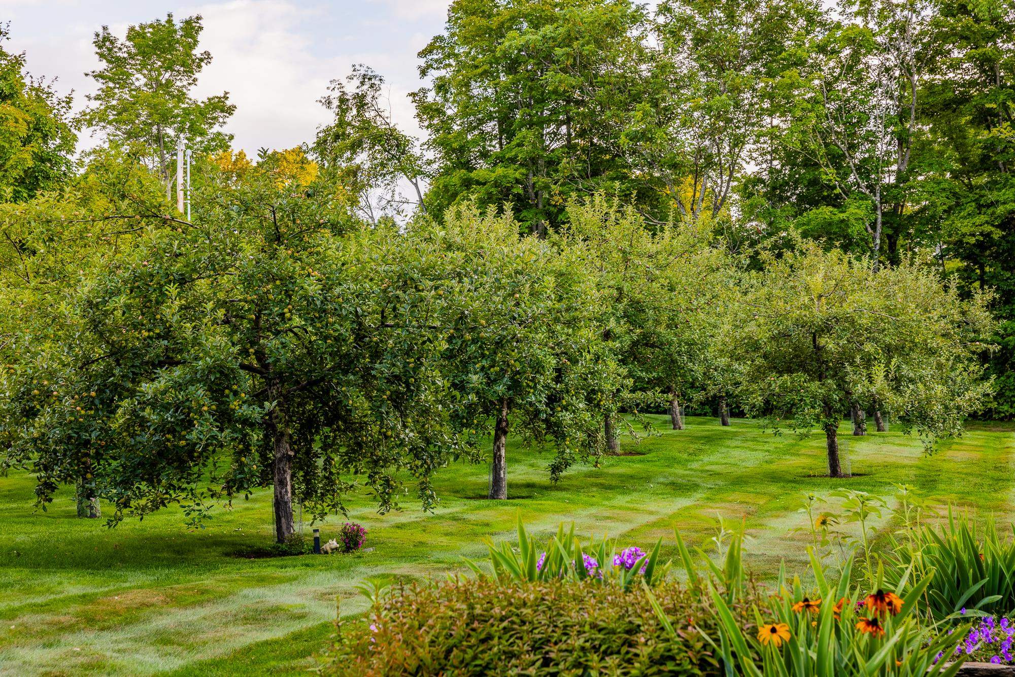 main property photo 52