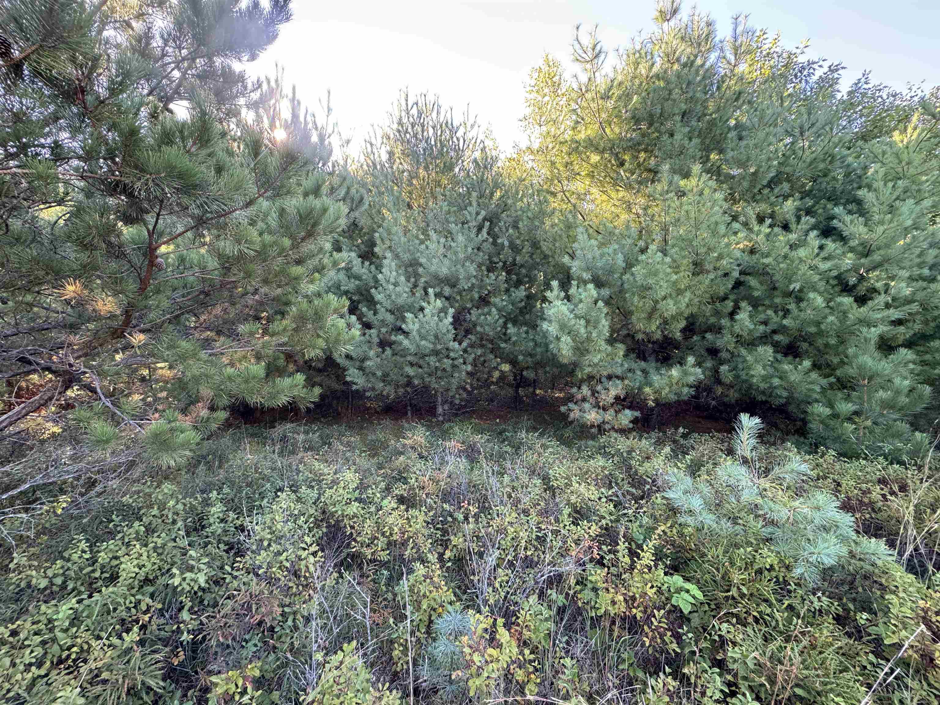 main property photo 12