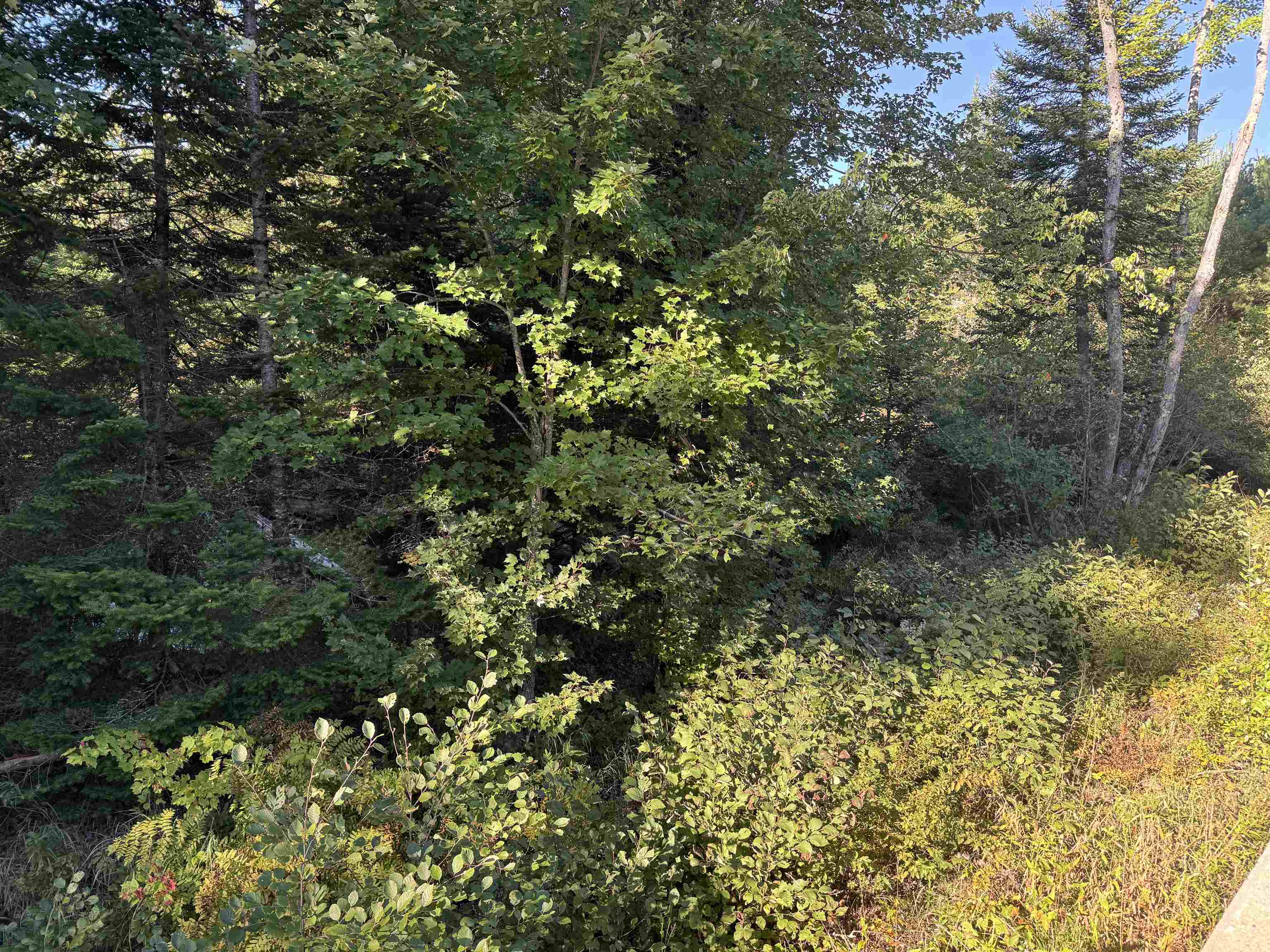 main property photo 33