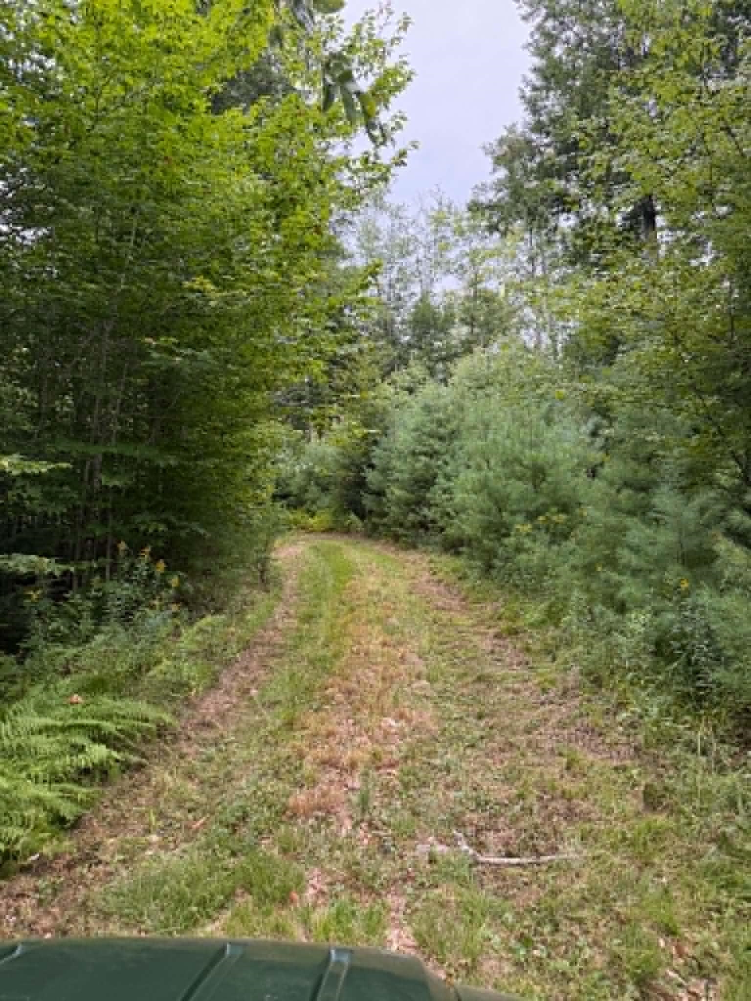 main property photo 15