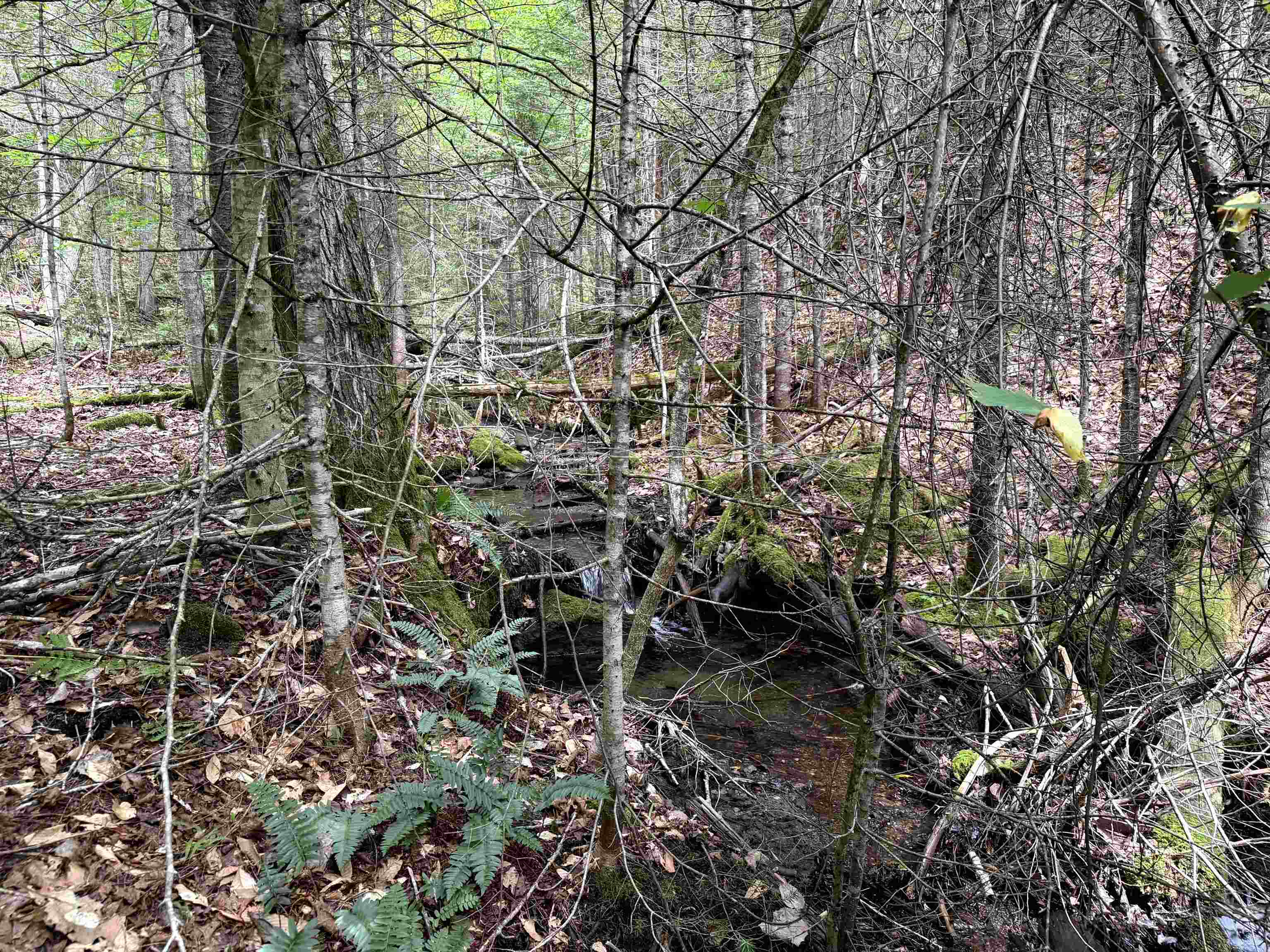 main property photo 12