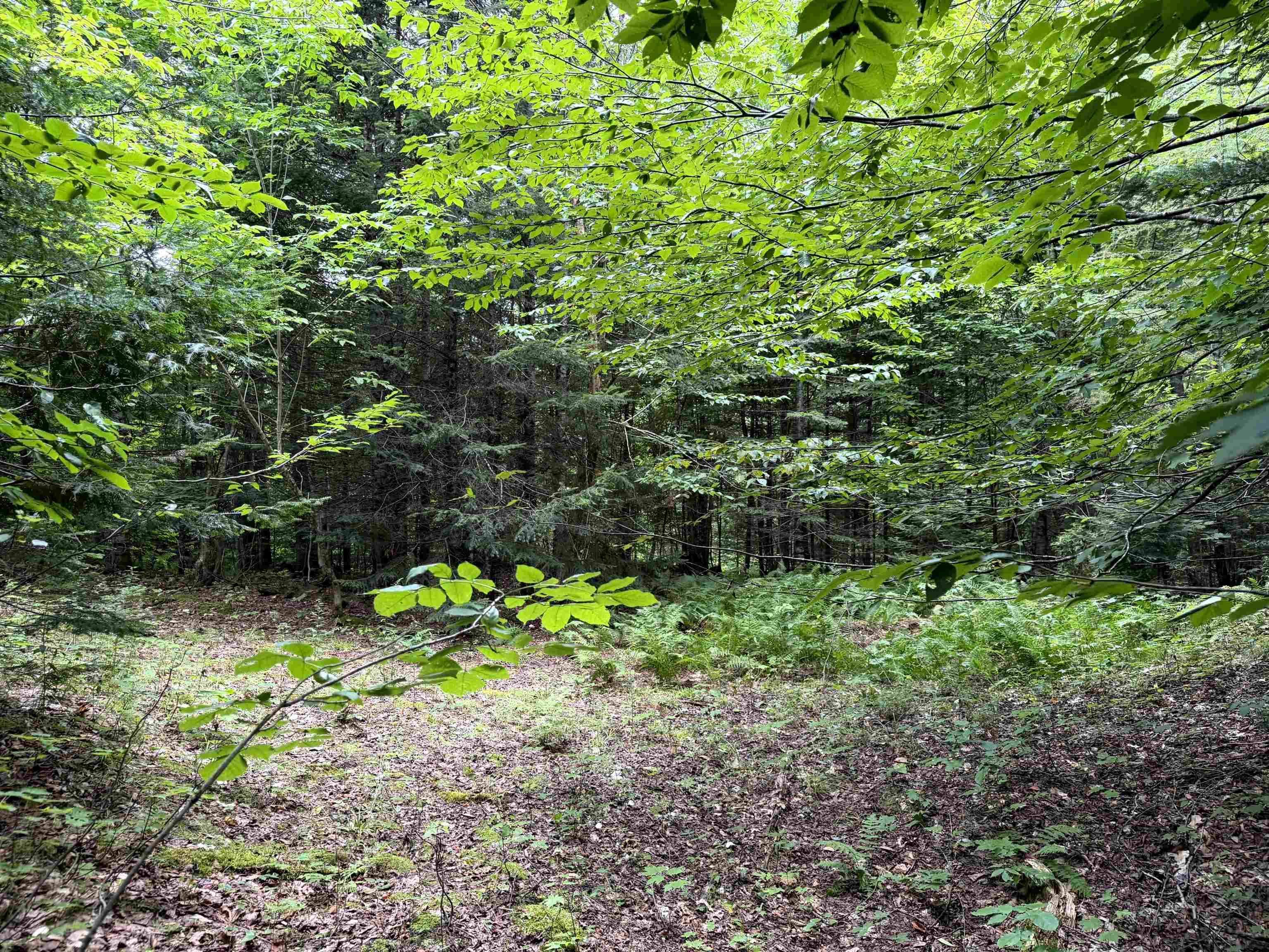 main property photo 18