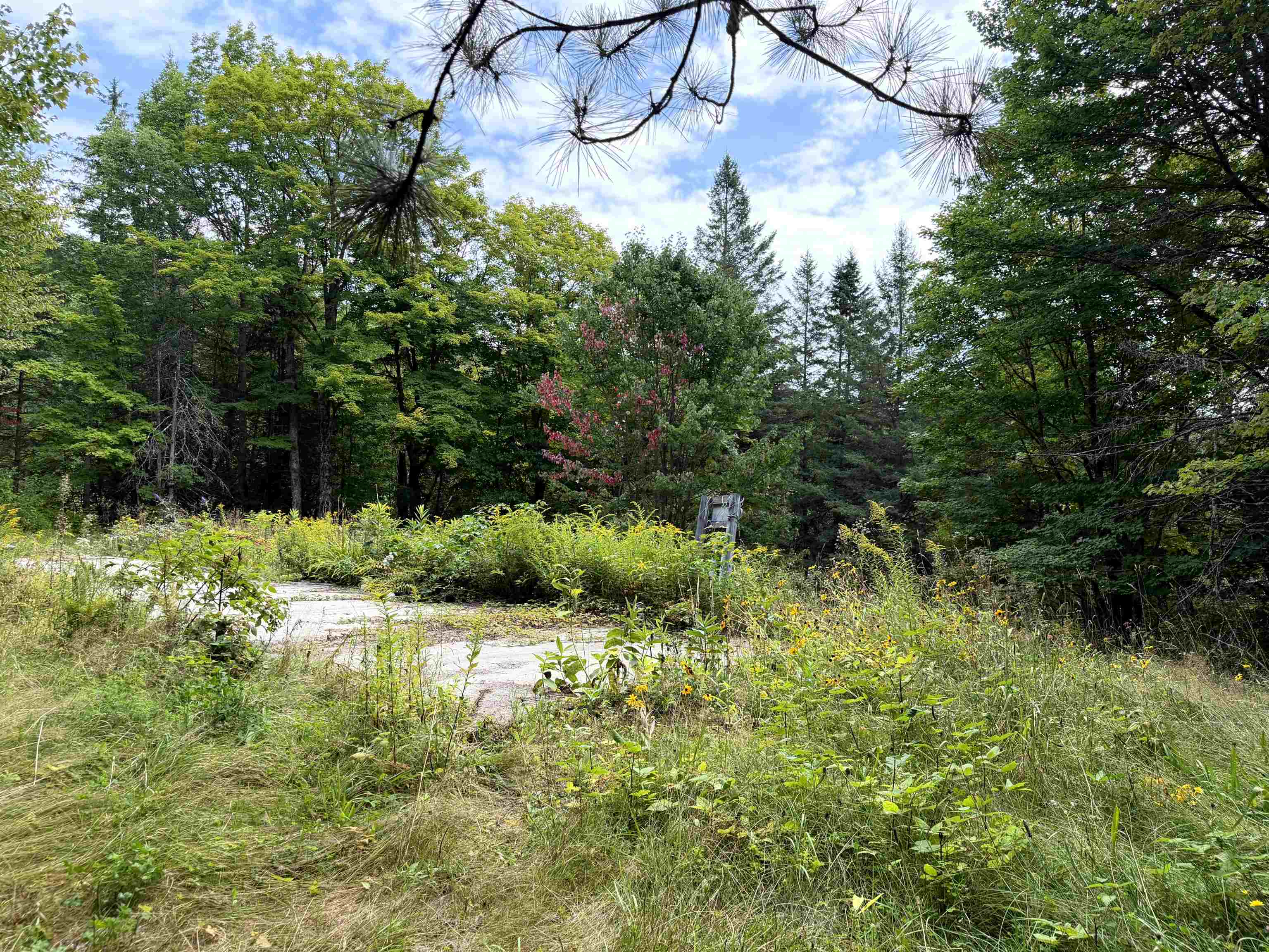 main property photo 20