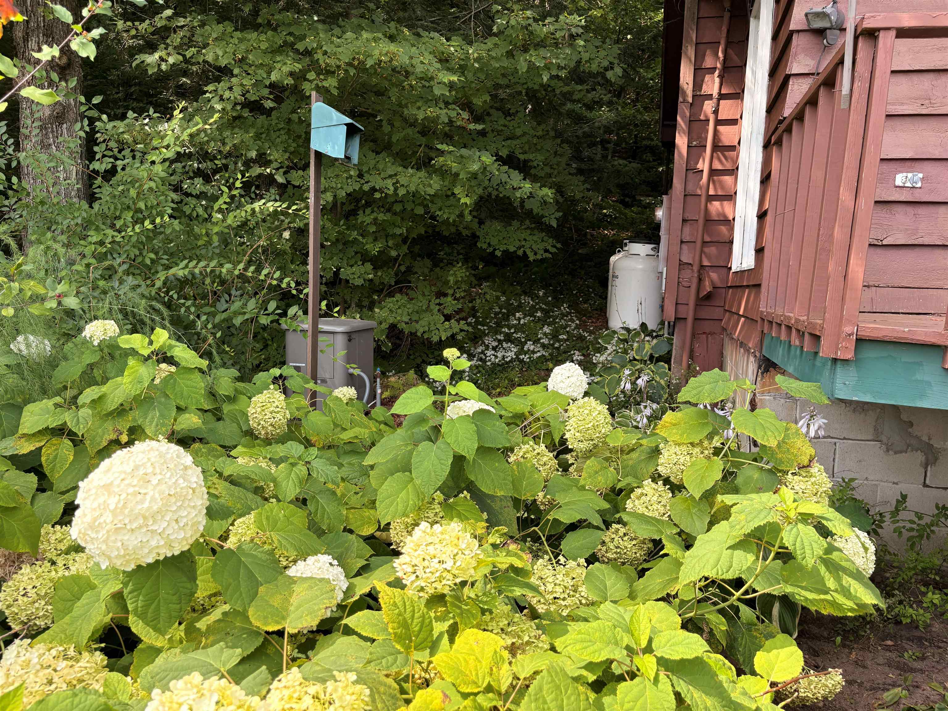 main property photo 51