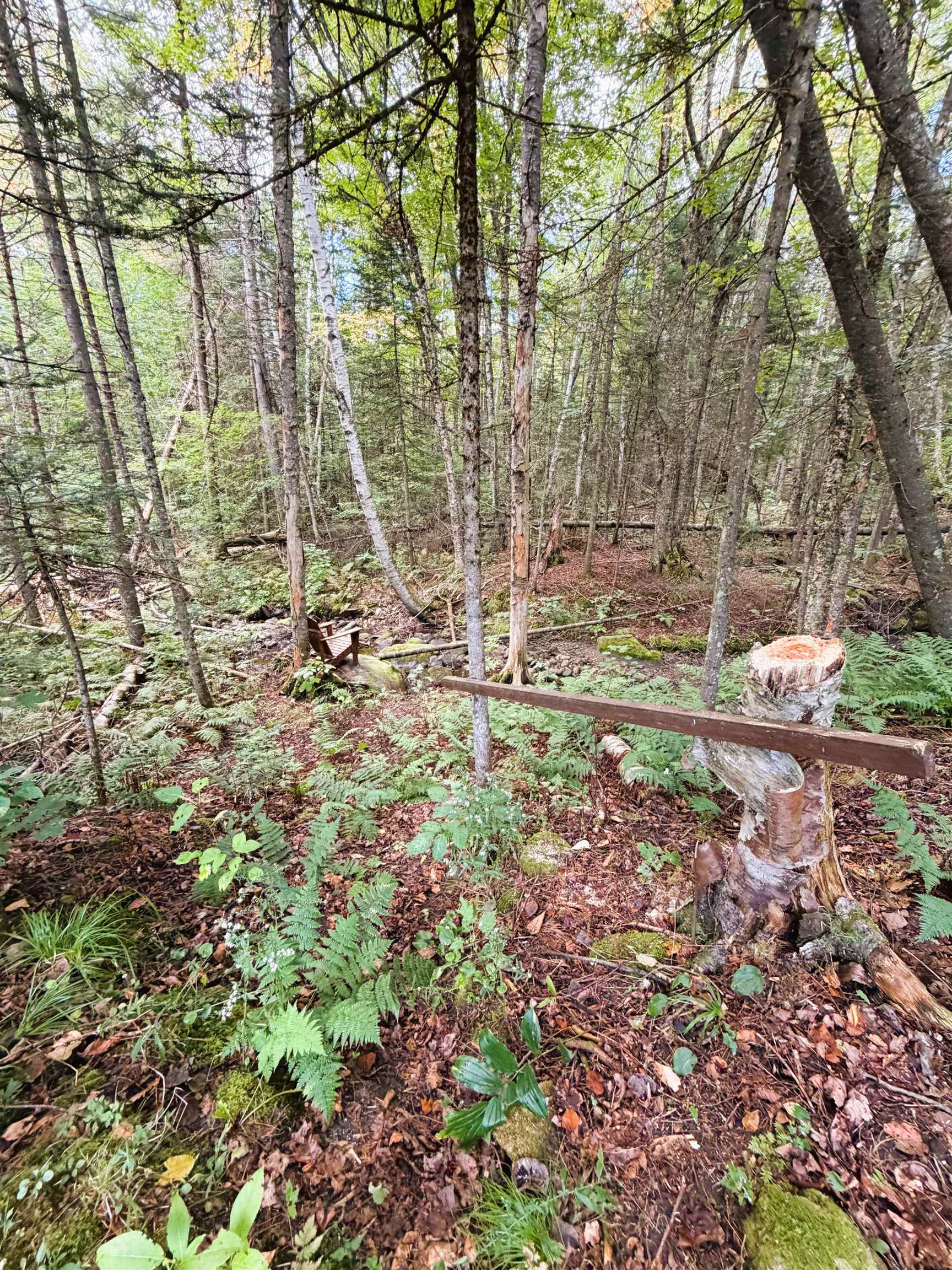 main property photo 29