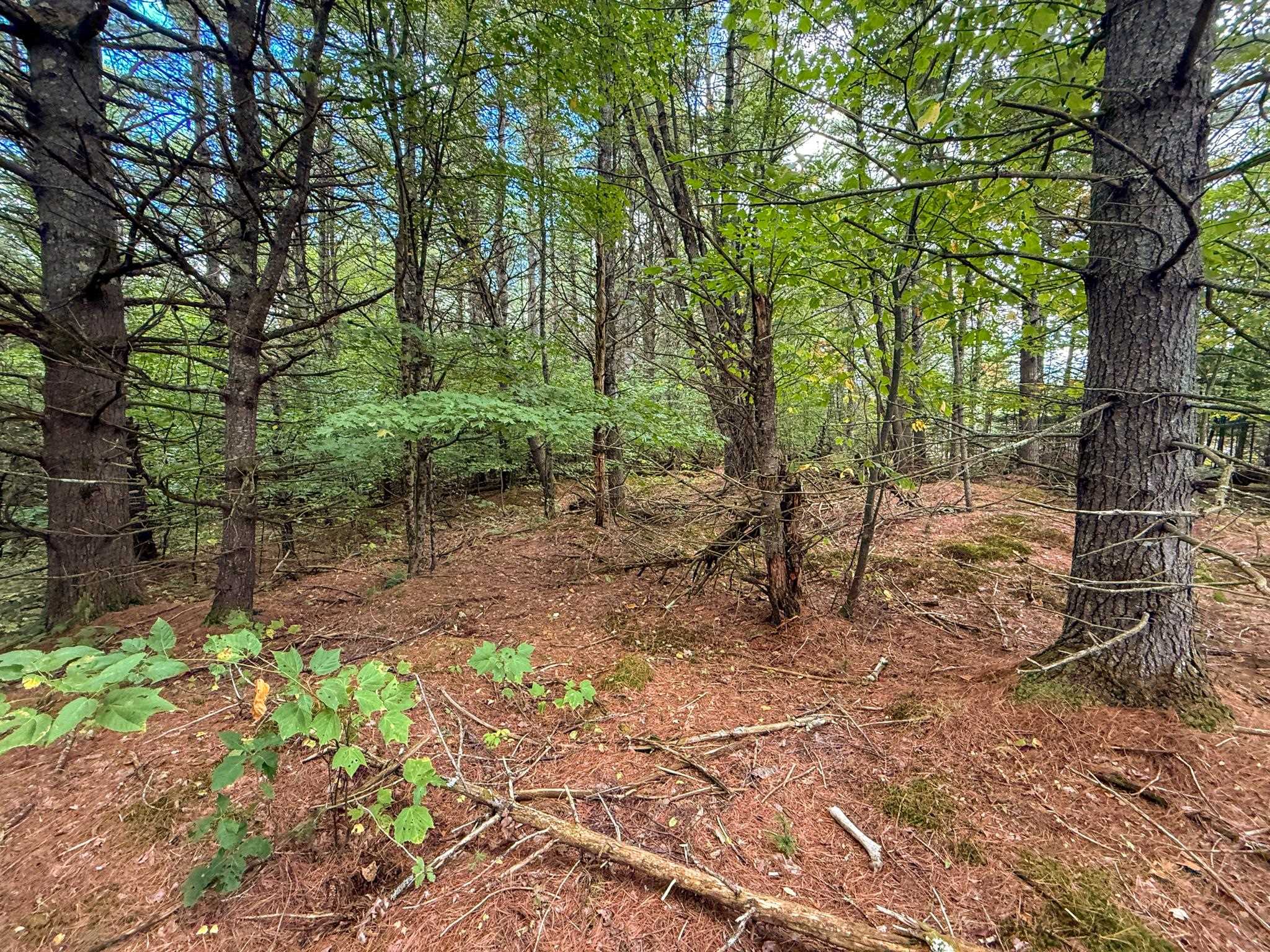 main property photo 33