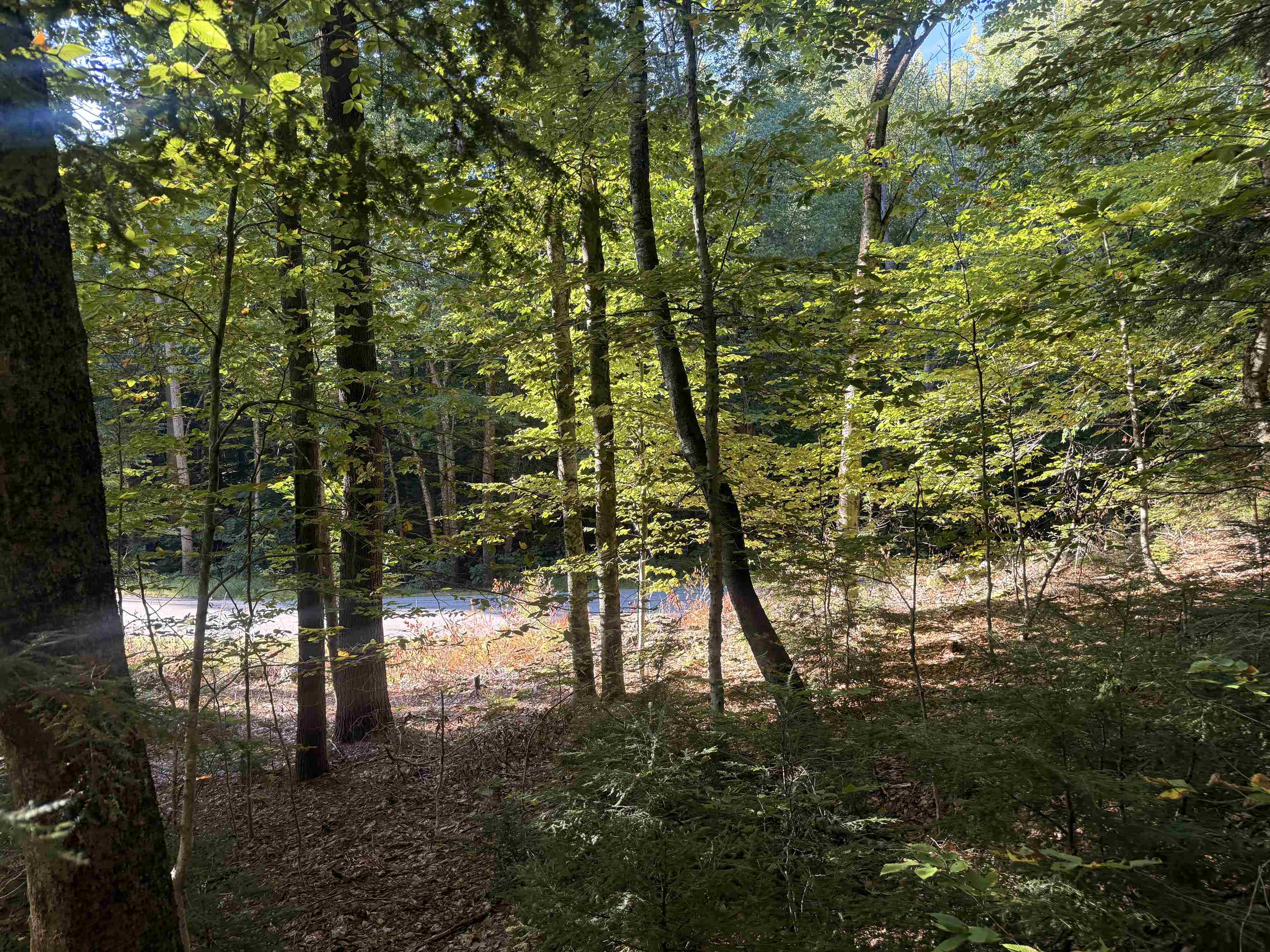 main property photo 11