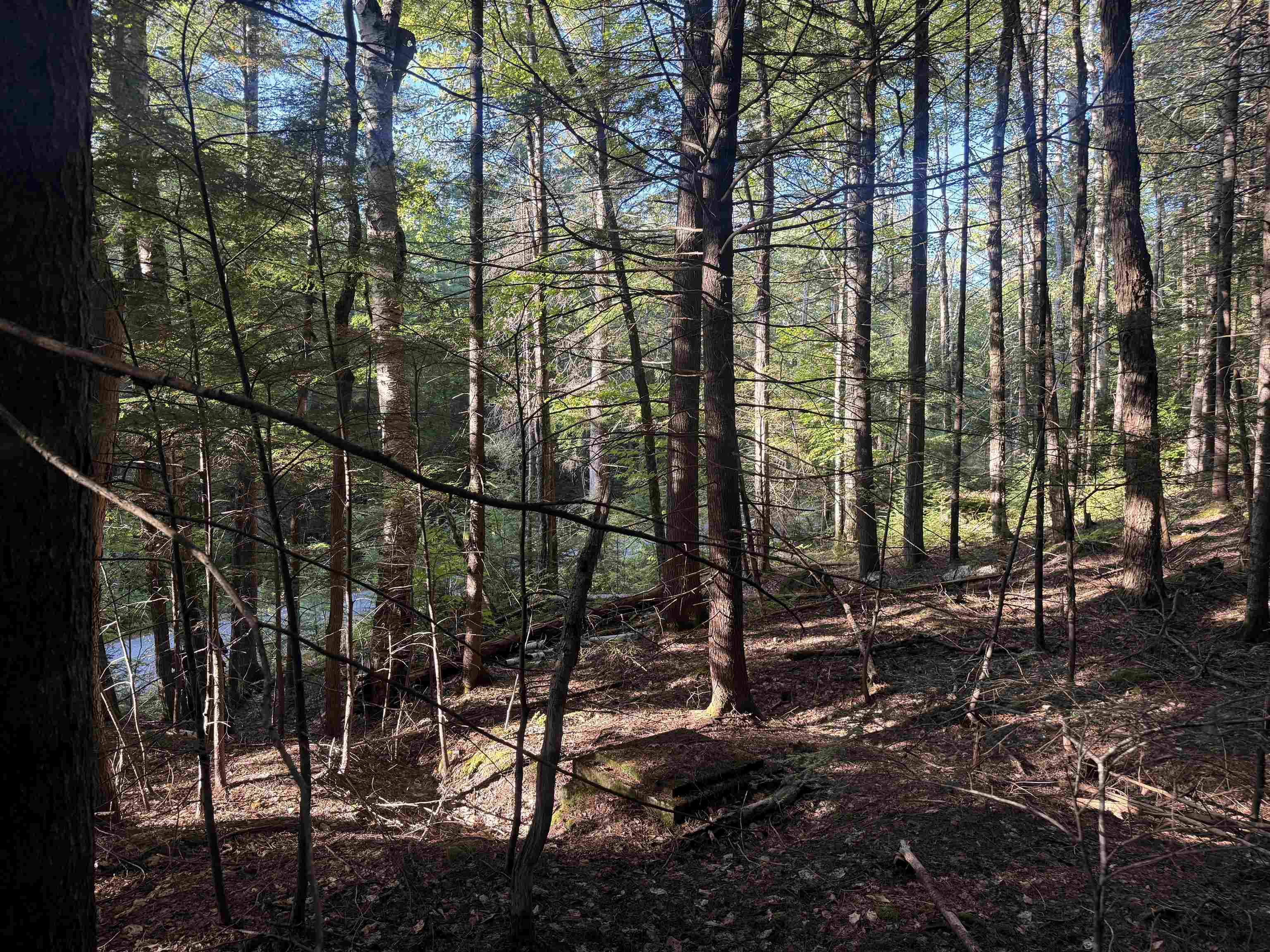 main property photo 12