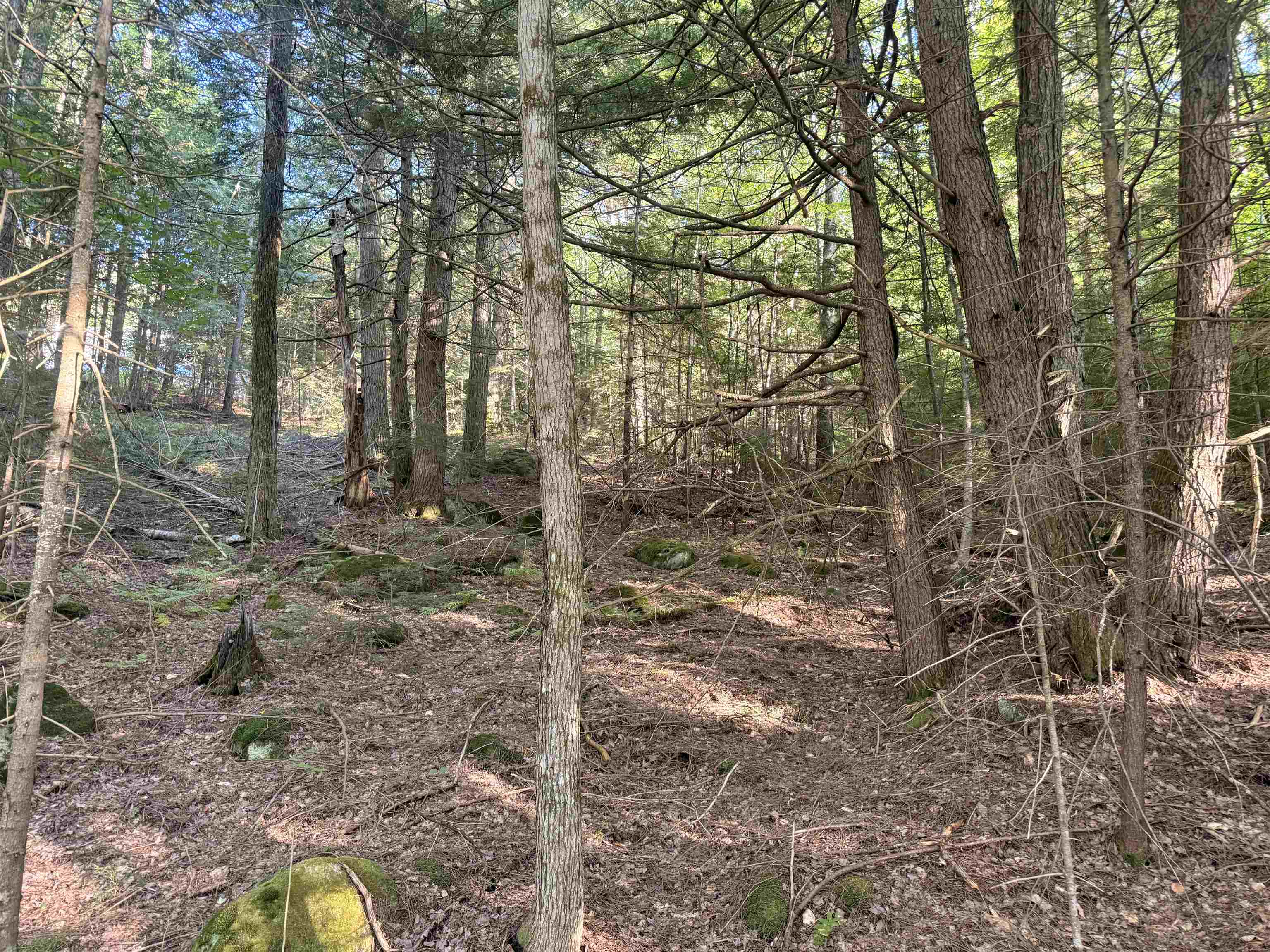 main property photo 13