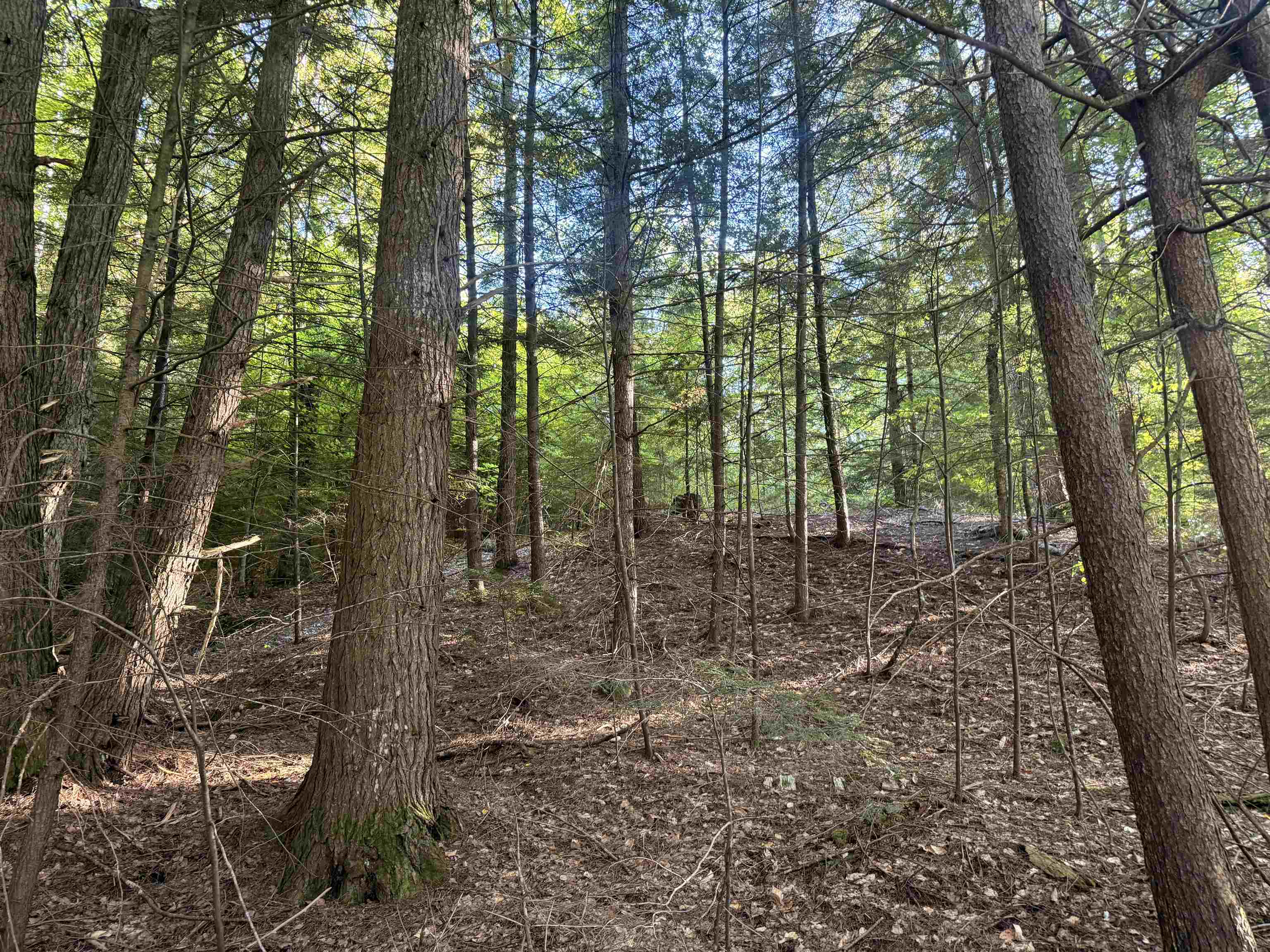 main property photo 14