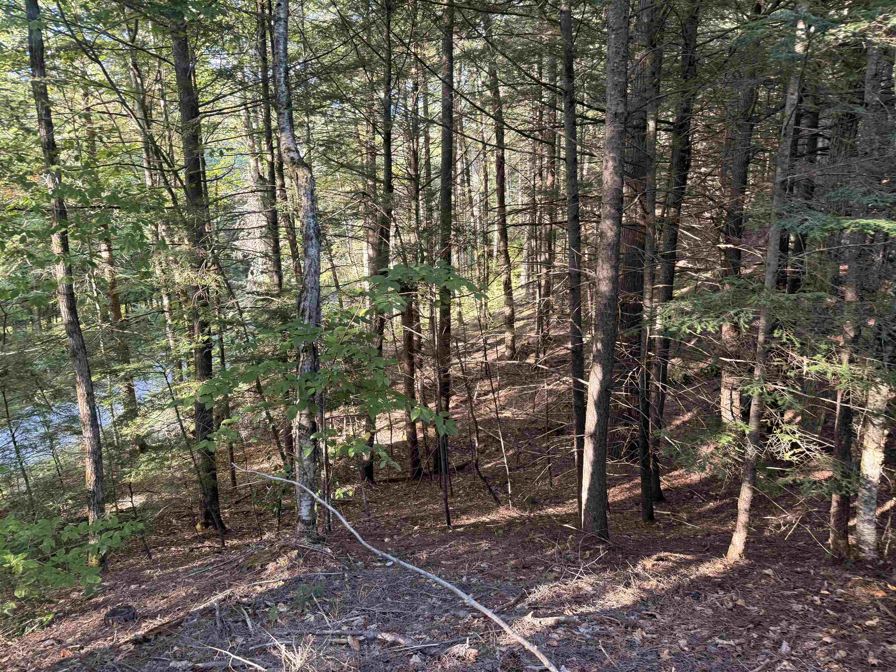 main property photo 15