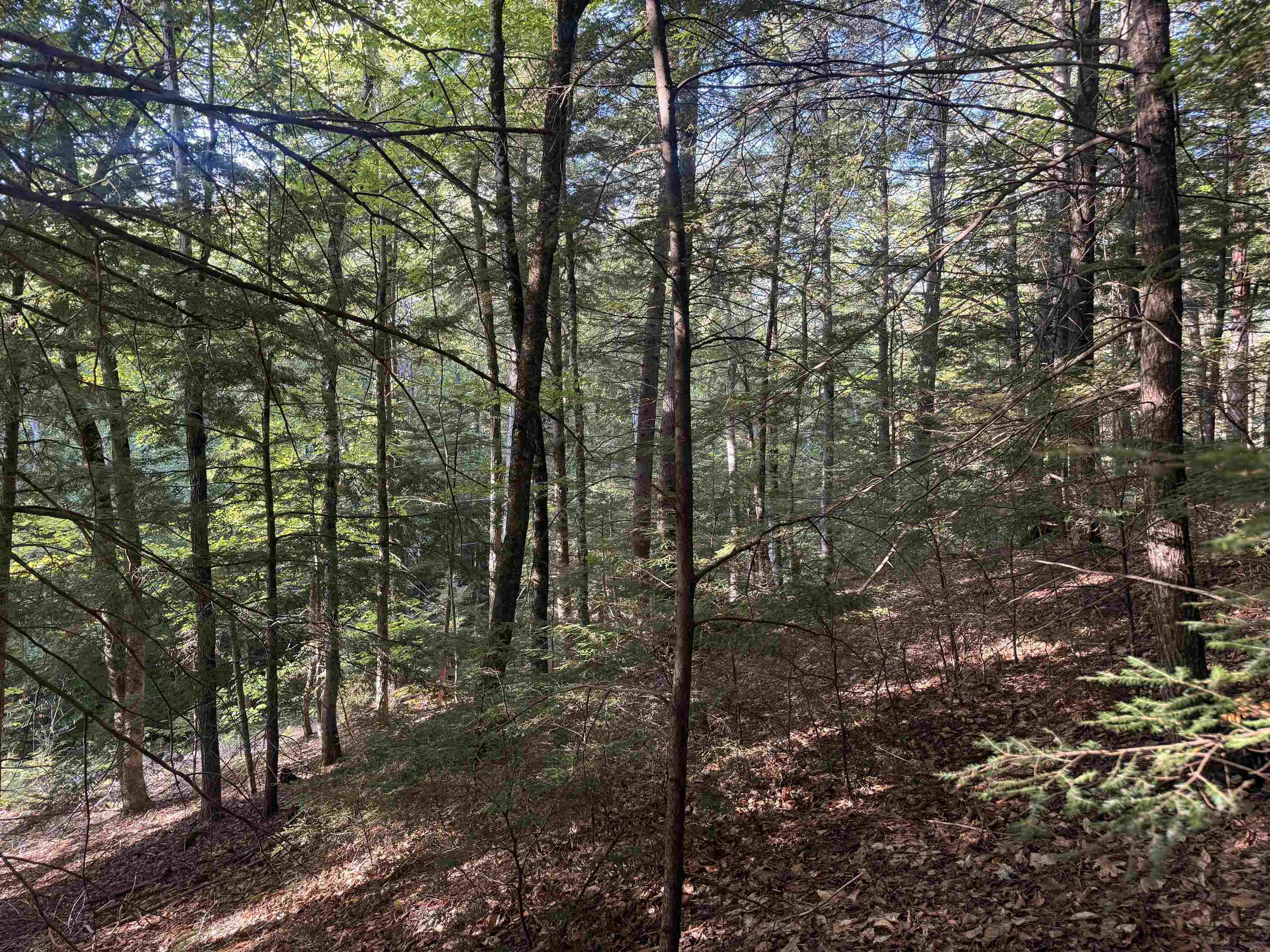 main property photo 17