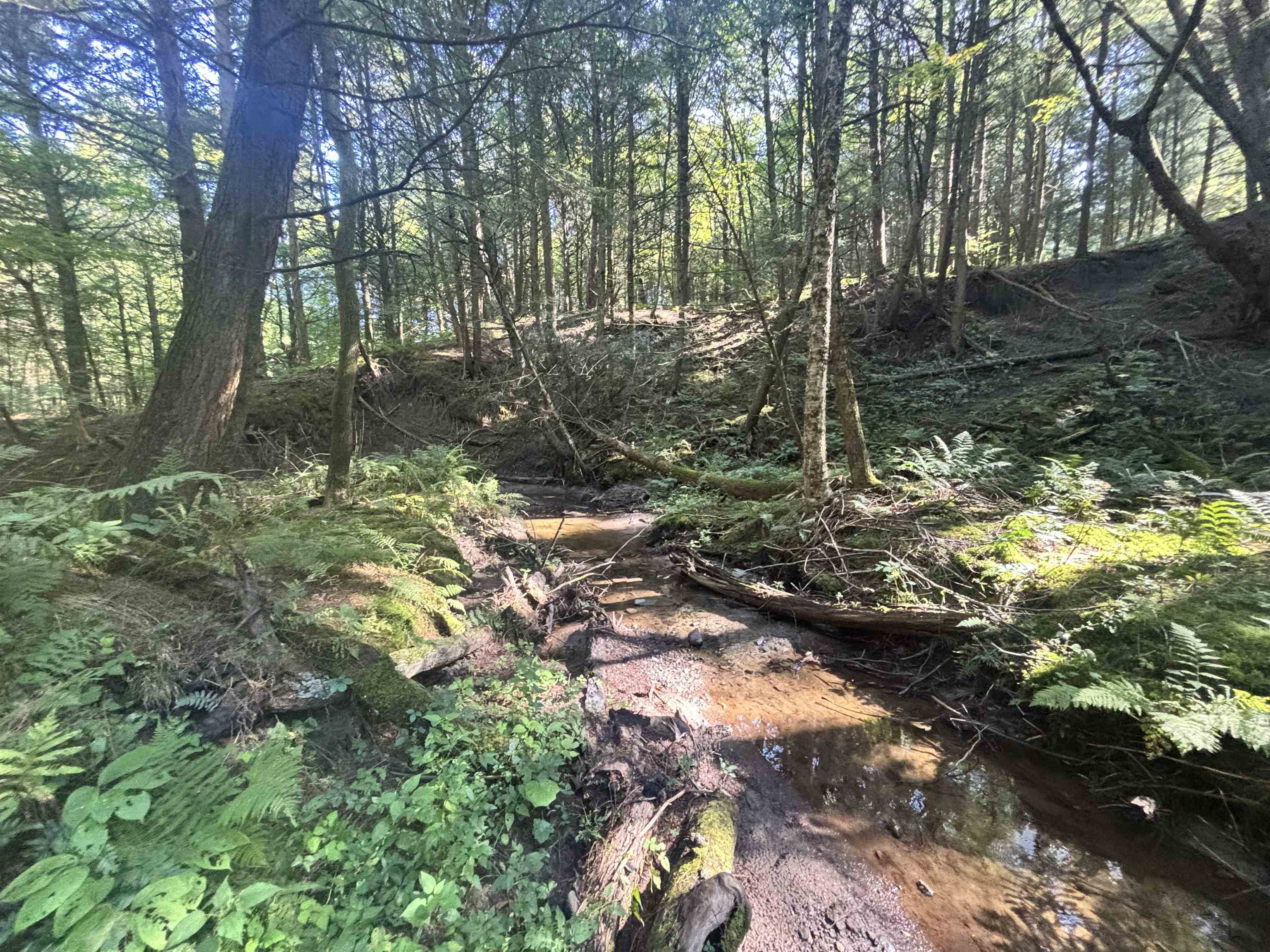 main property photo 39
