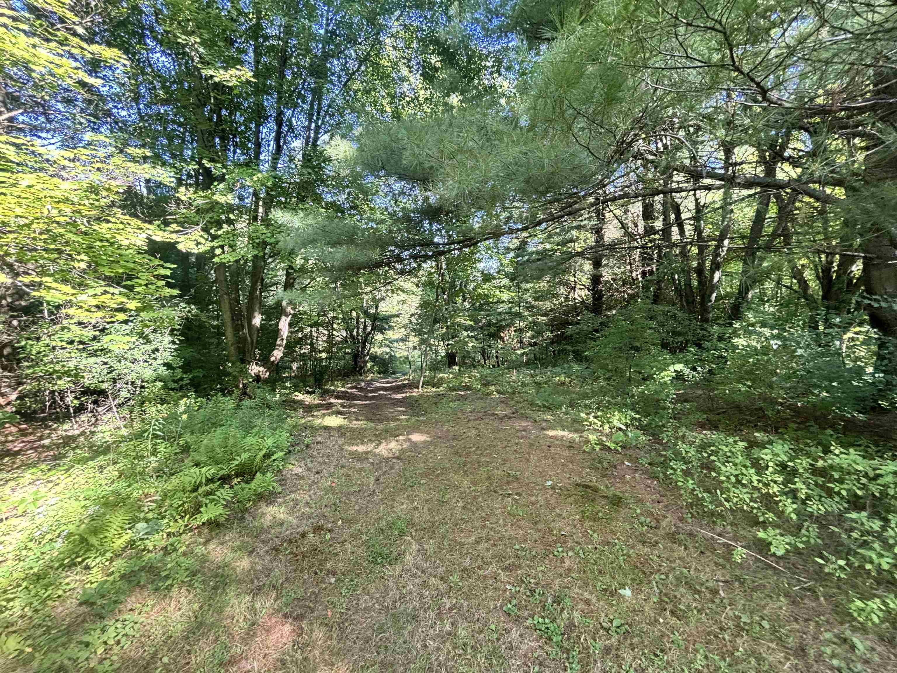 main property photo 42