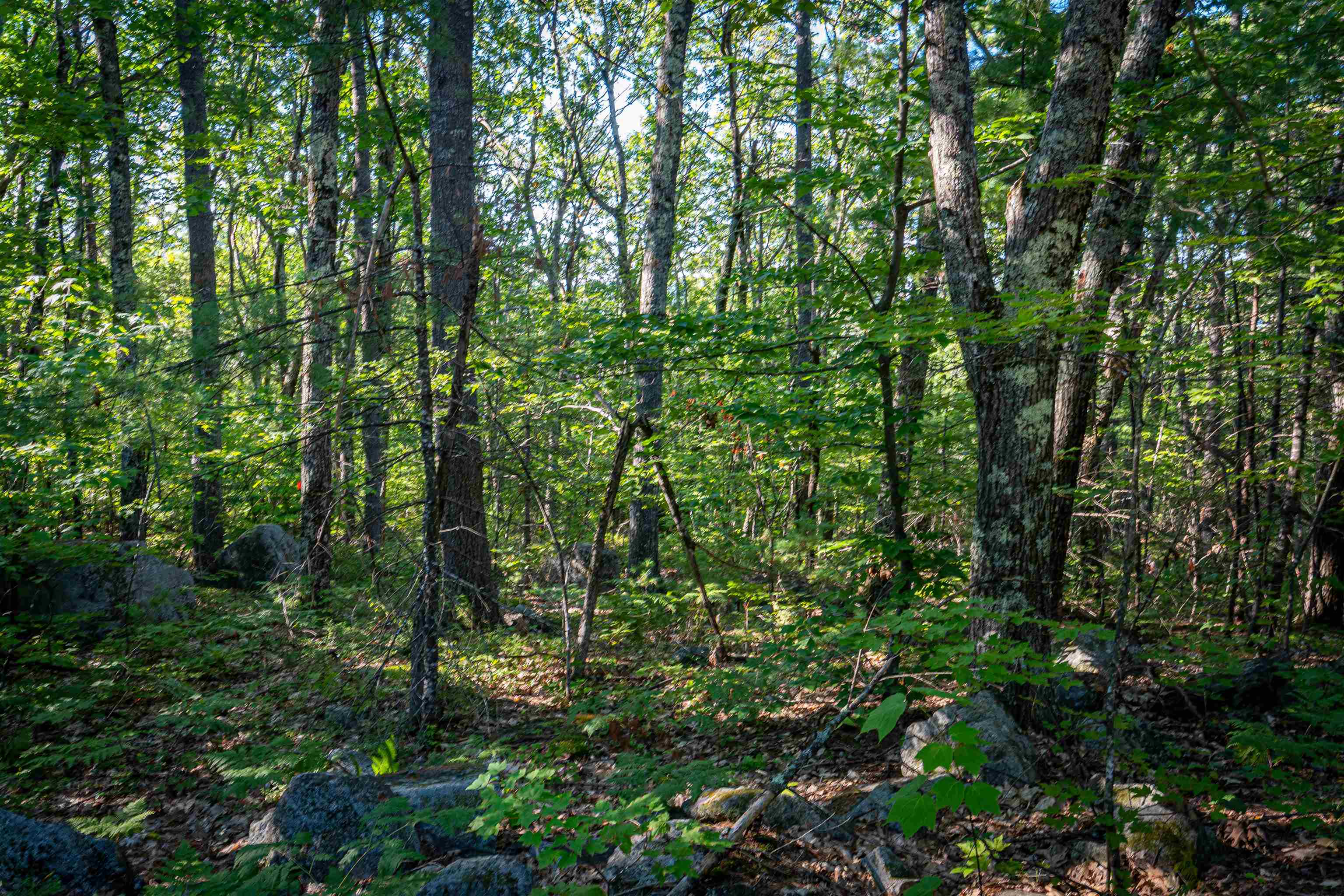 main property photo 21