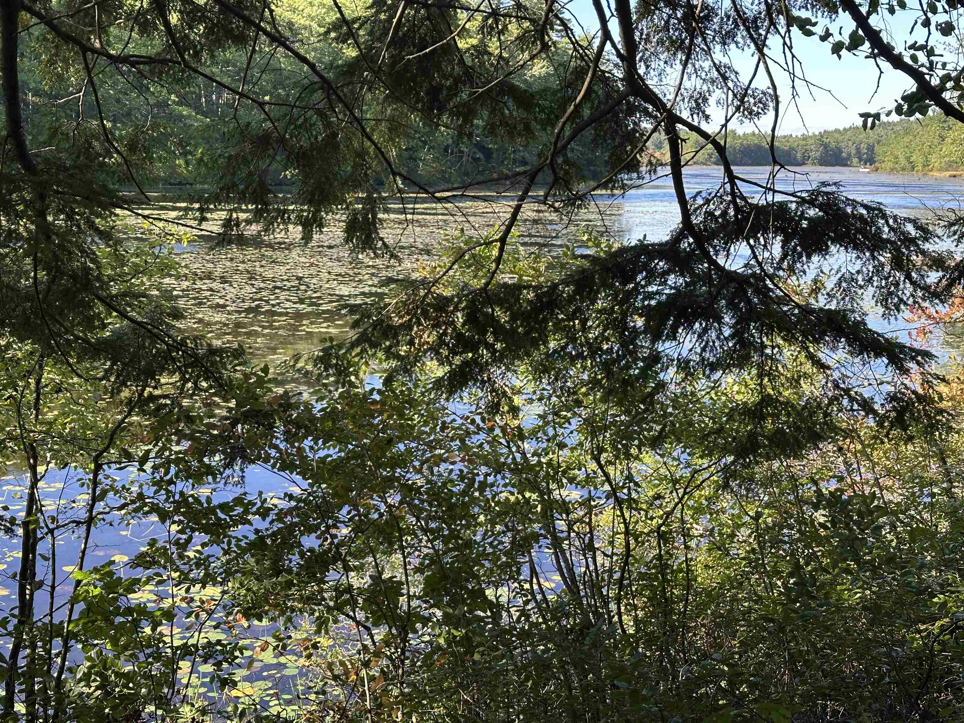 main property photo 28