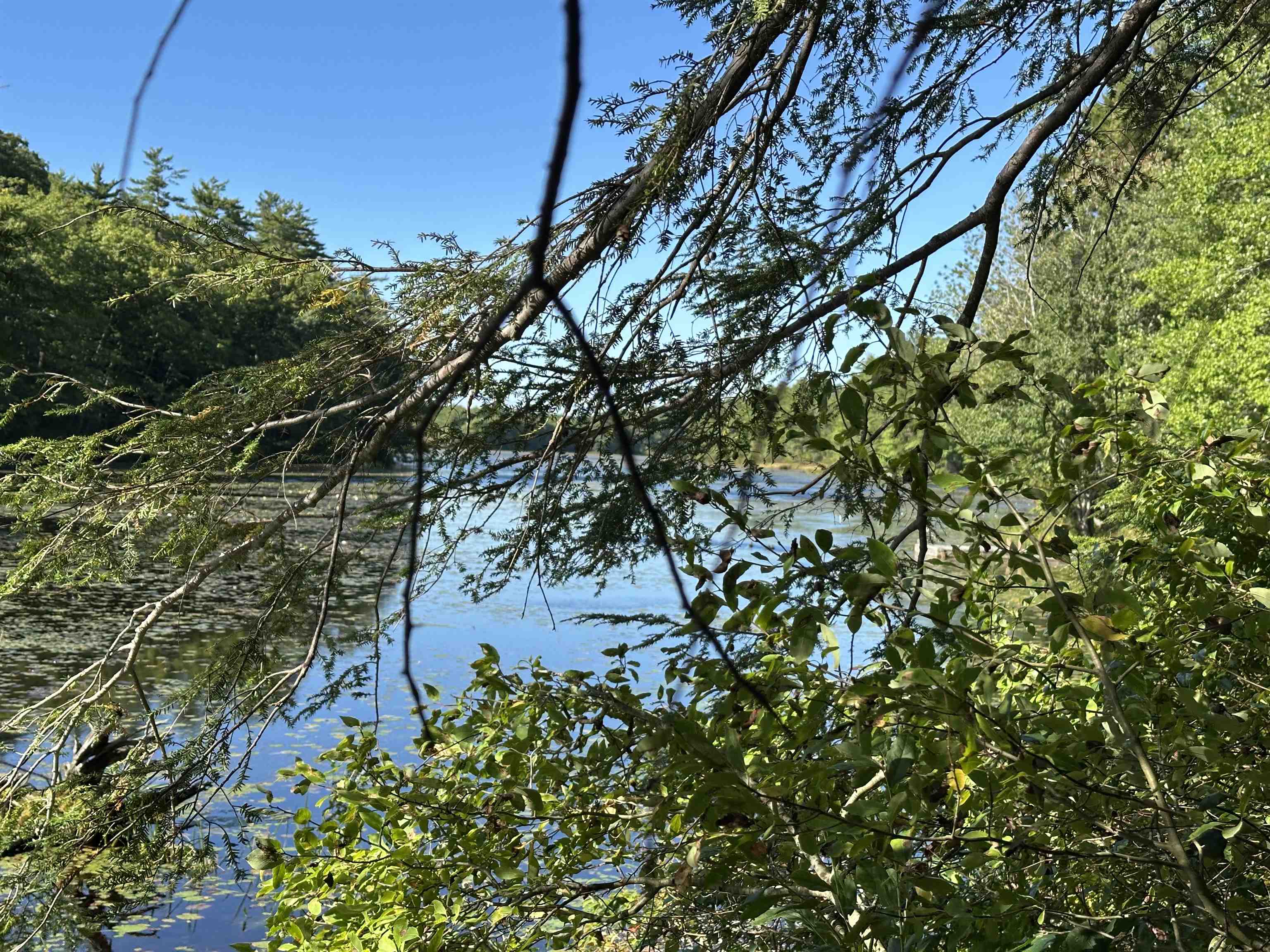 main property photo 7