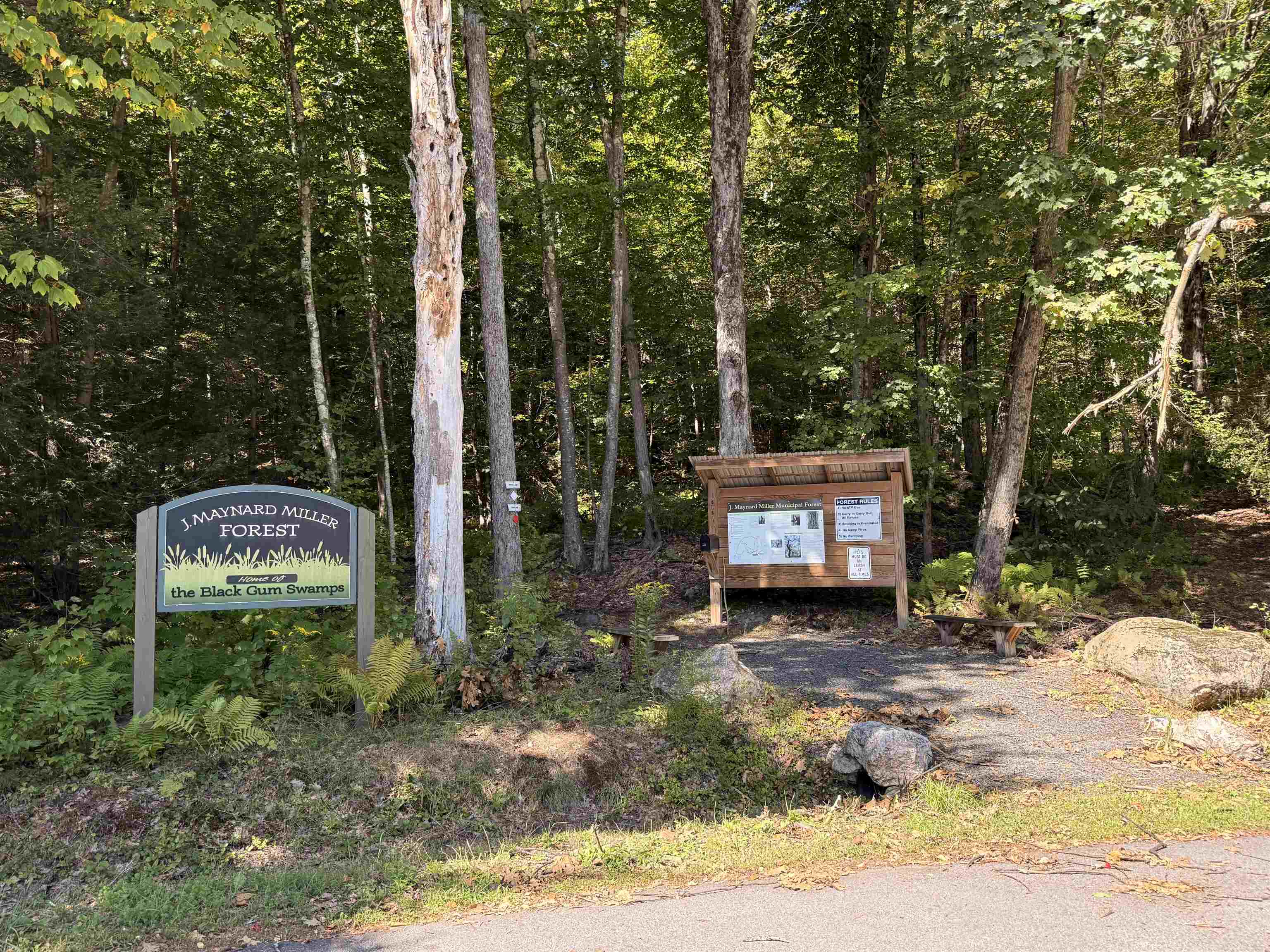 main property photo 46