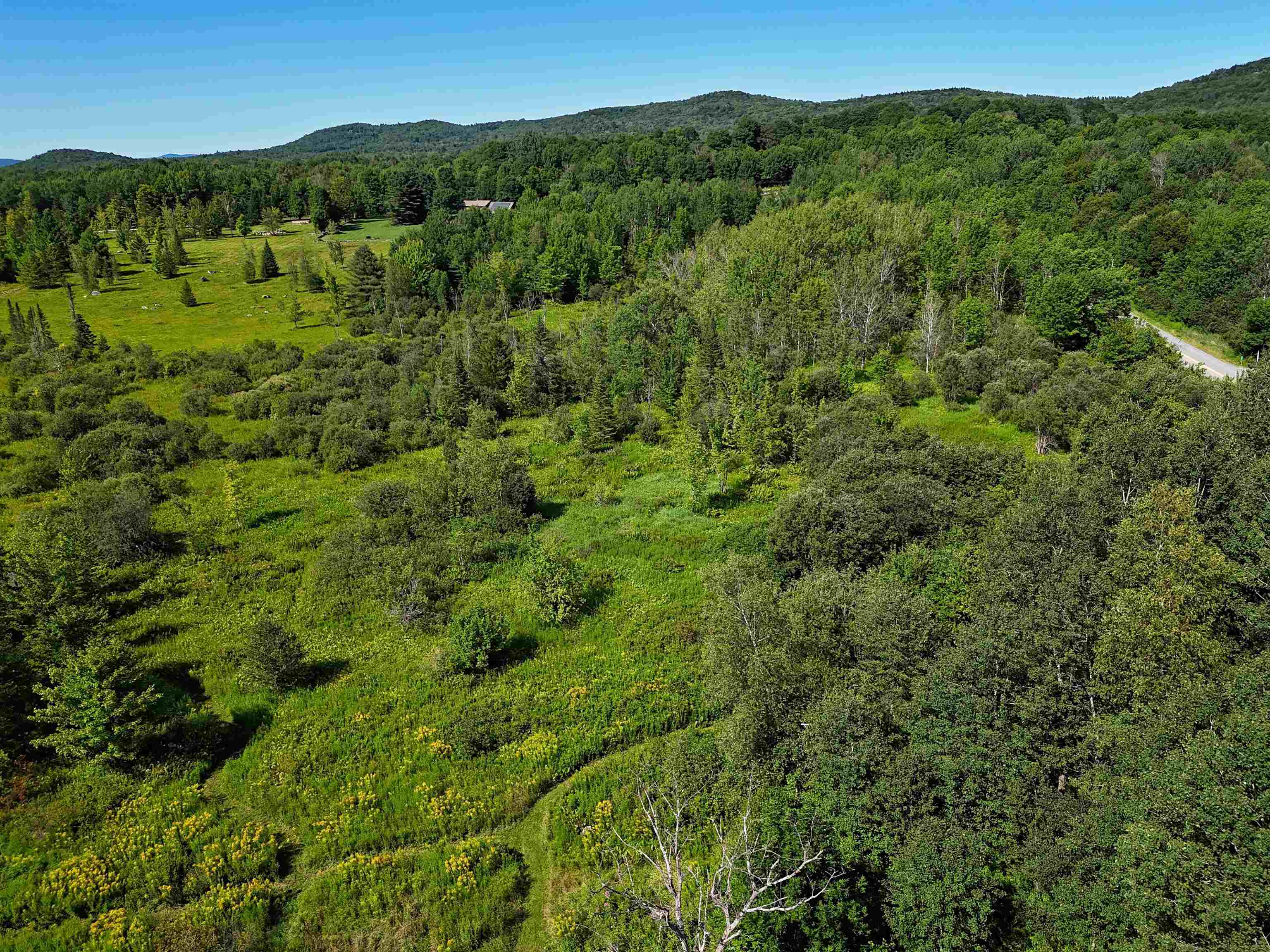 main property photo 40