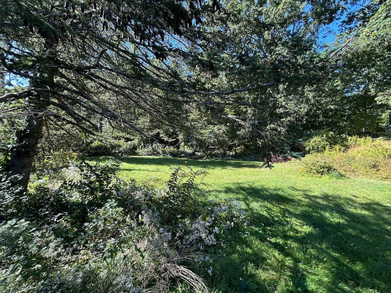 main property photo 46