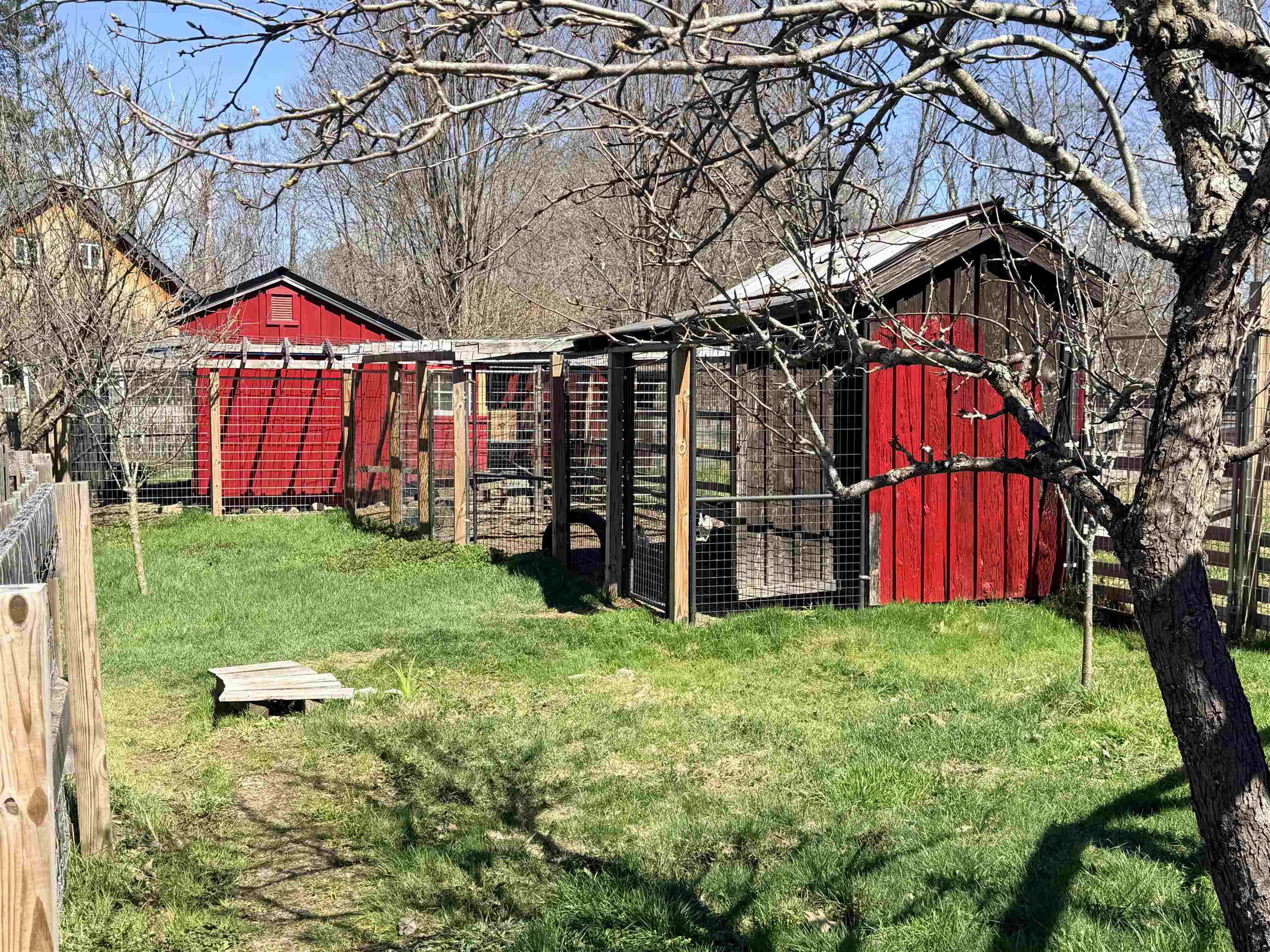 main property photo 38