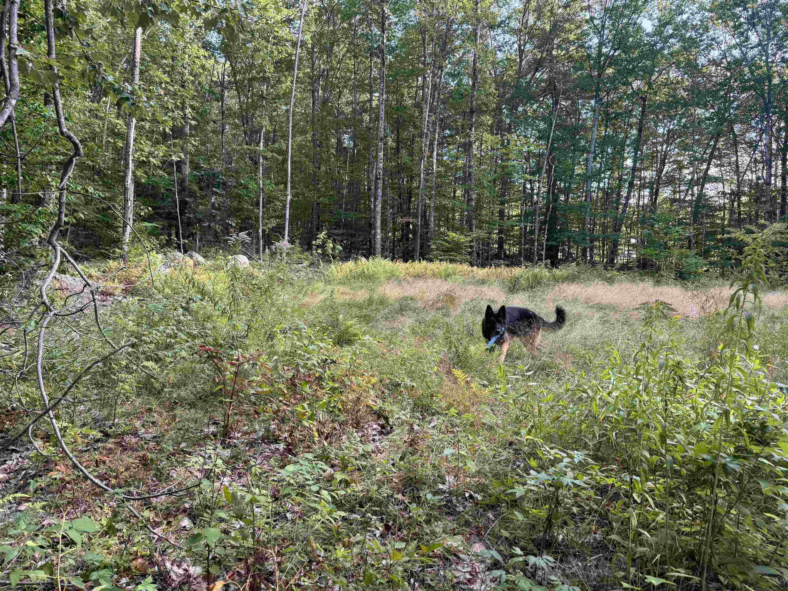 main property photo 22