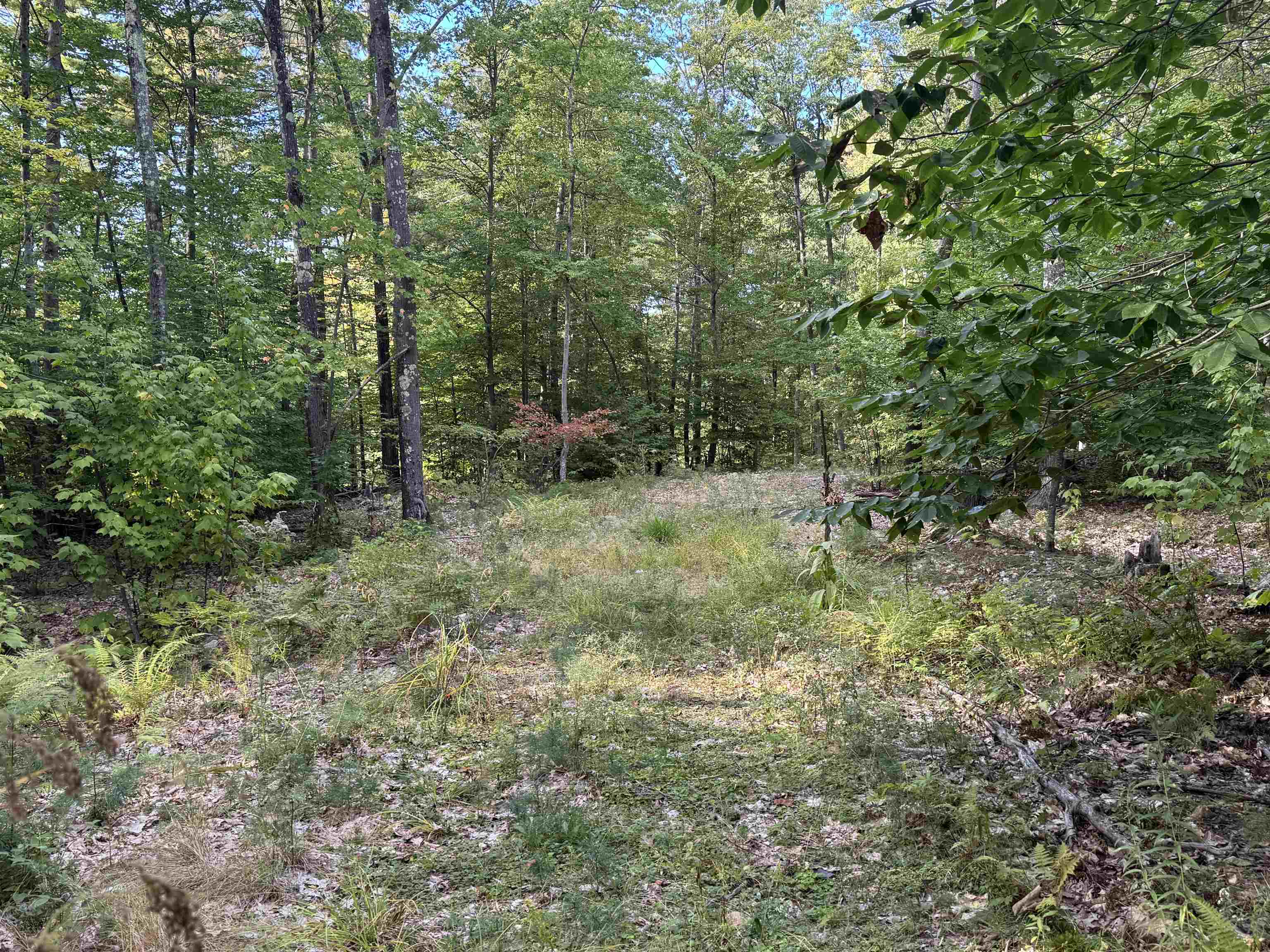 main property photo 26