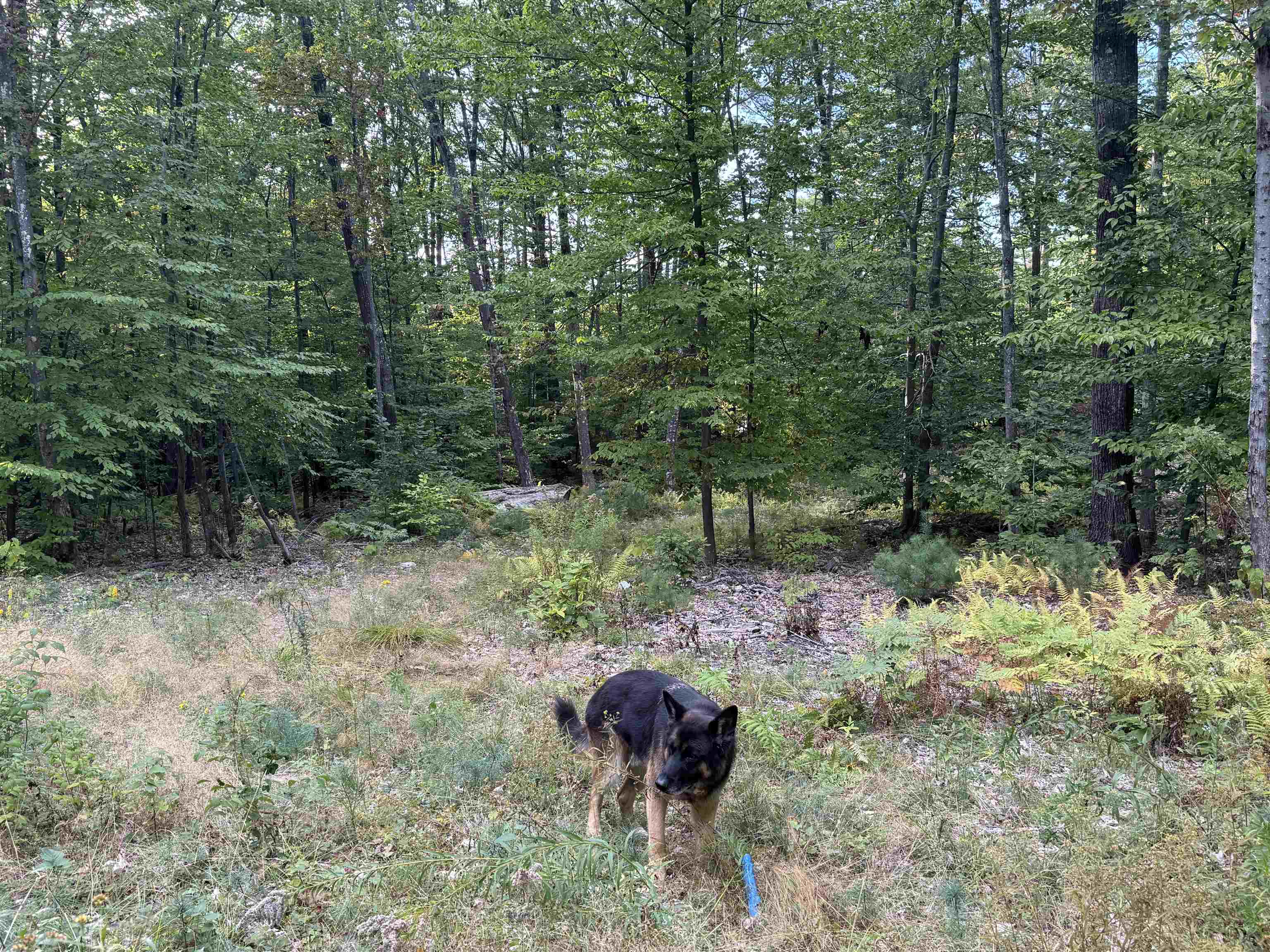 main property photo 28