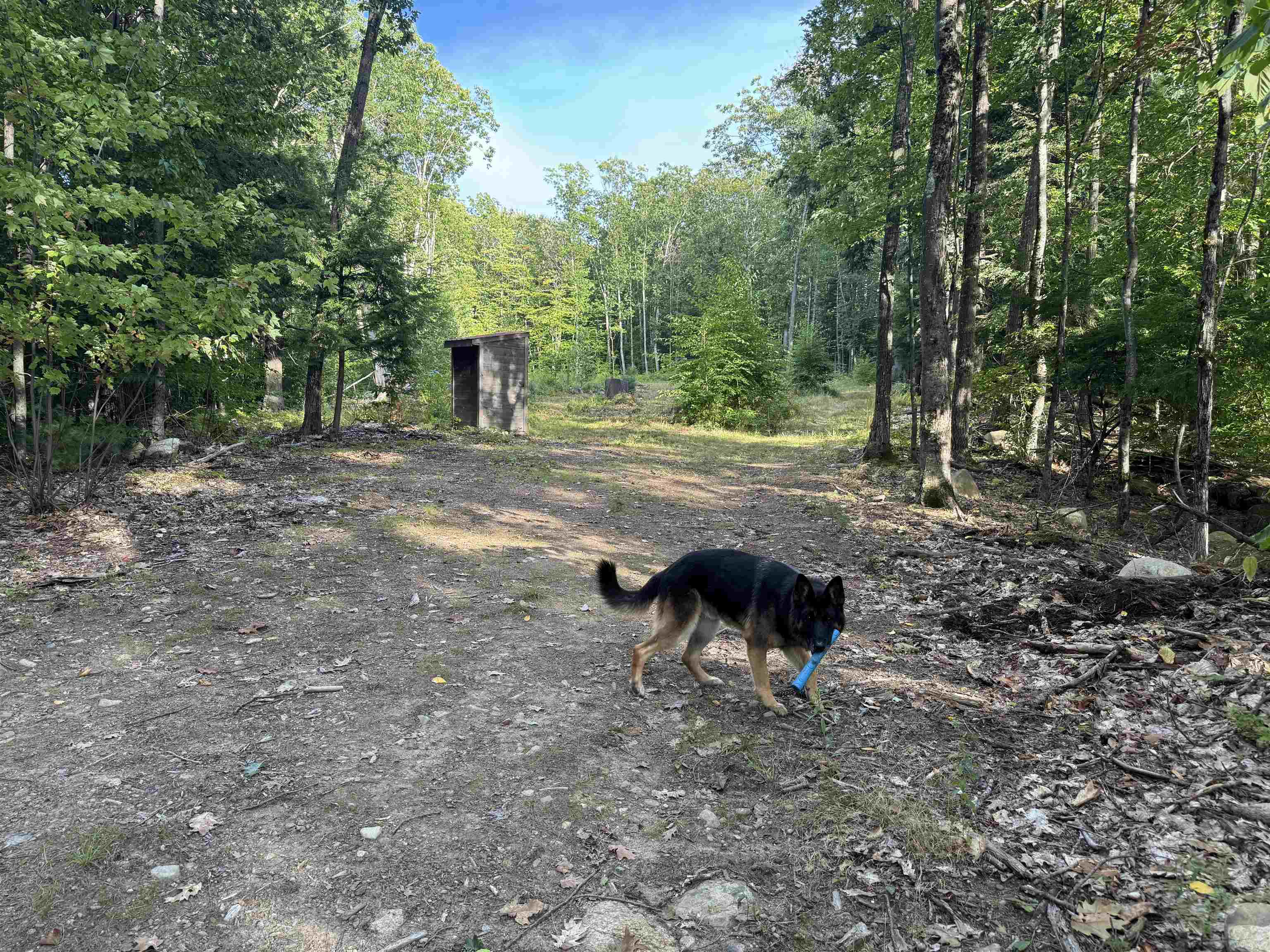 main property photo 43