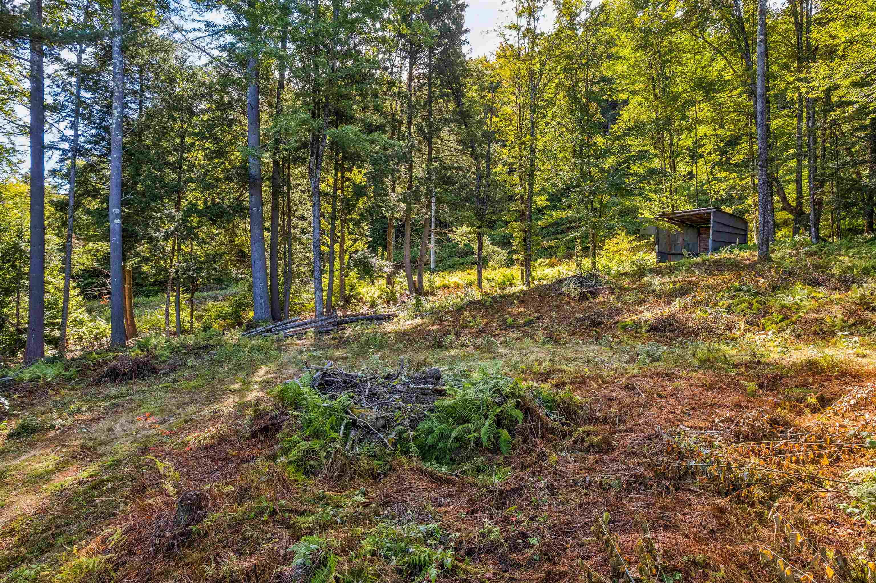 main property photo 10