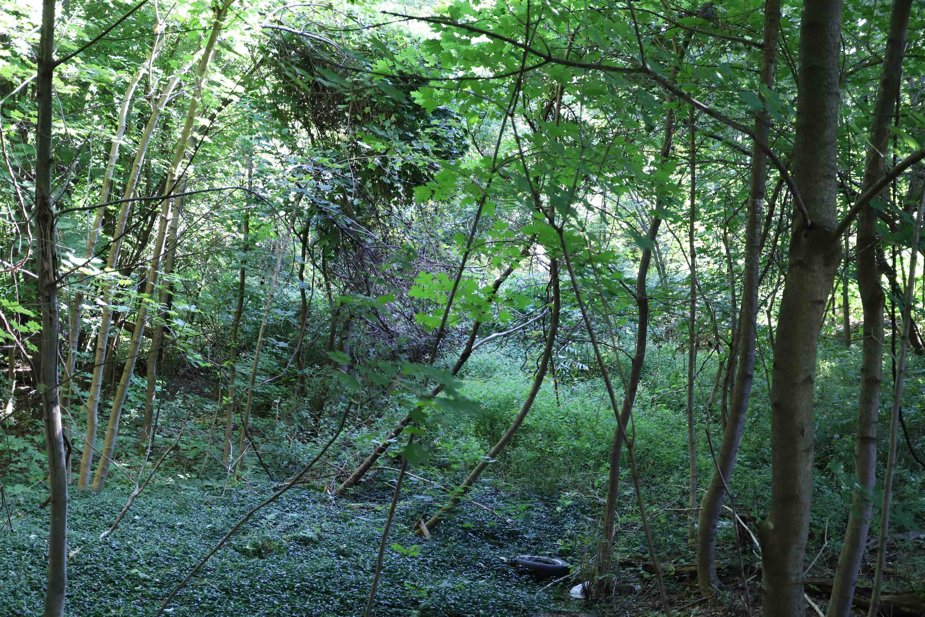 main property photo 12