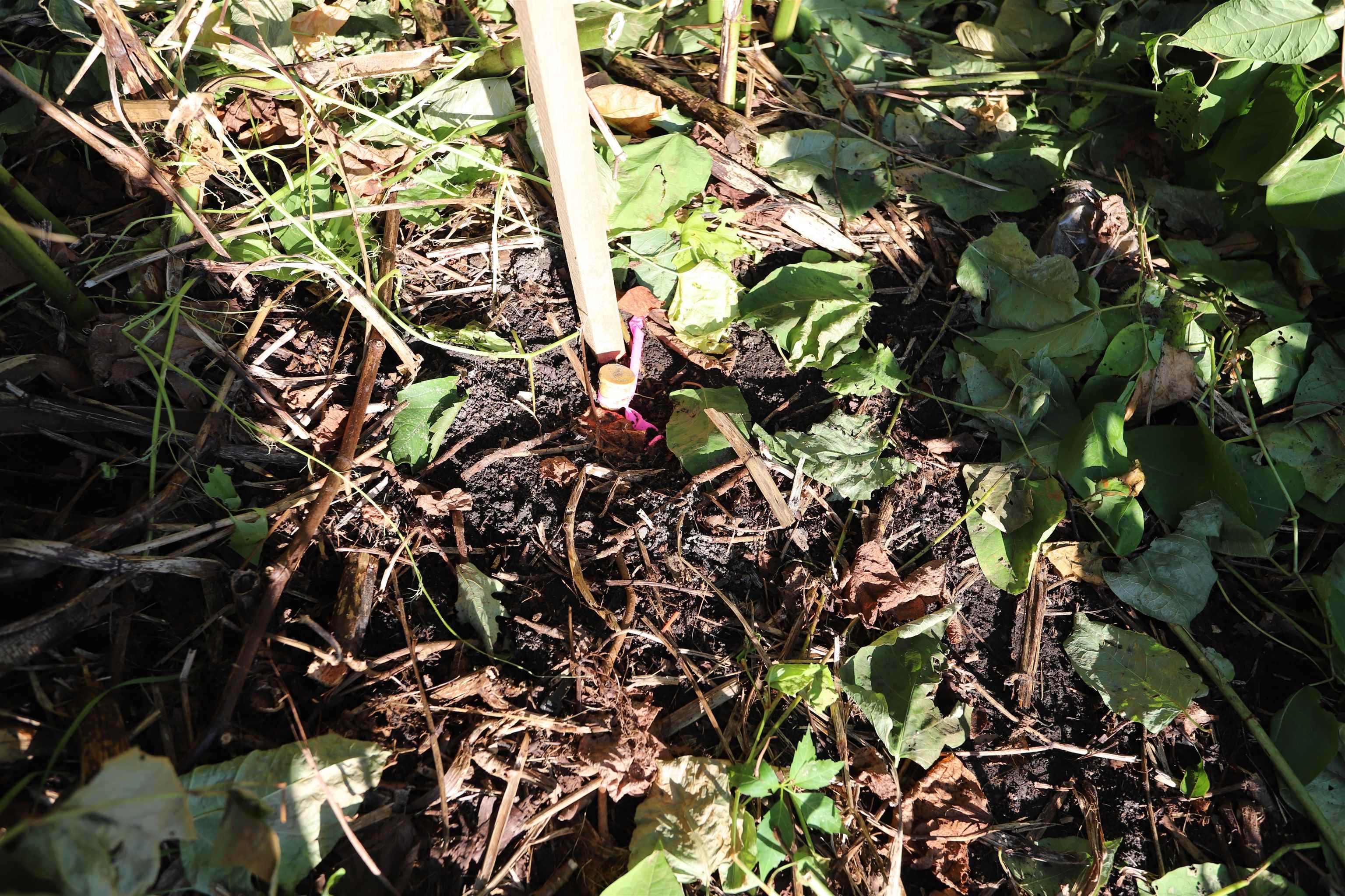 main property photo 8