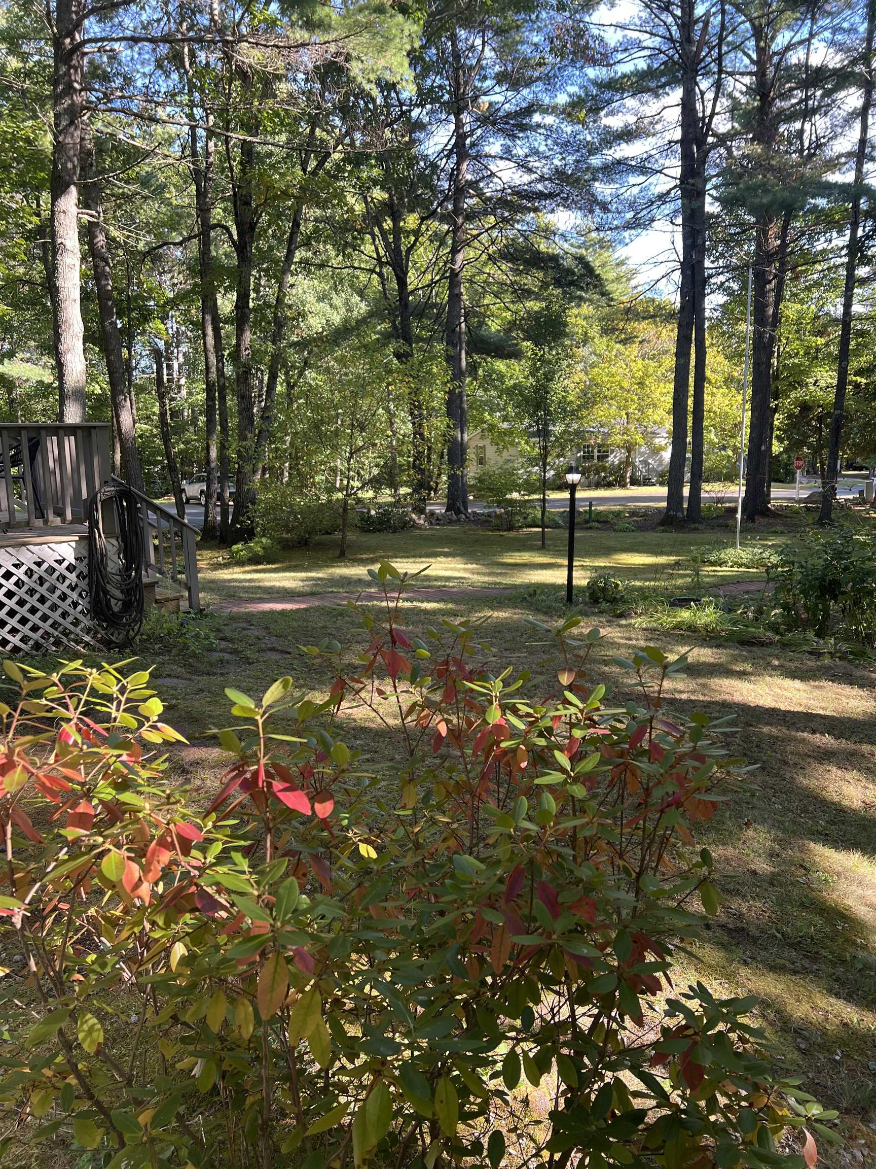 main property photo 6
