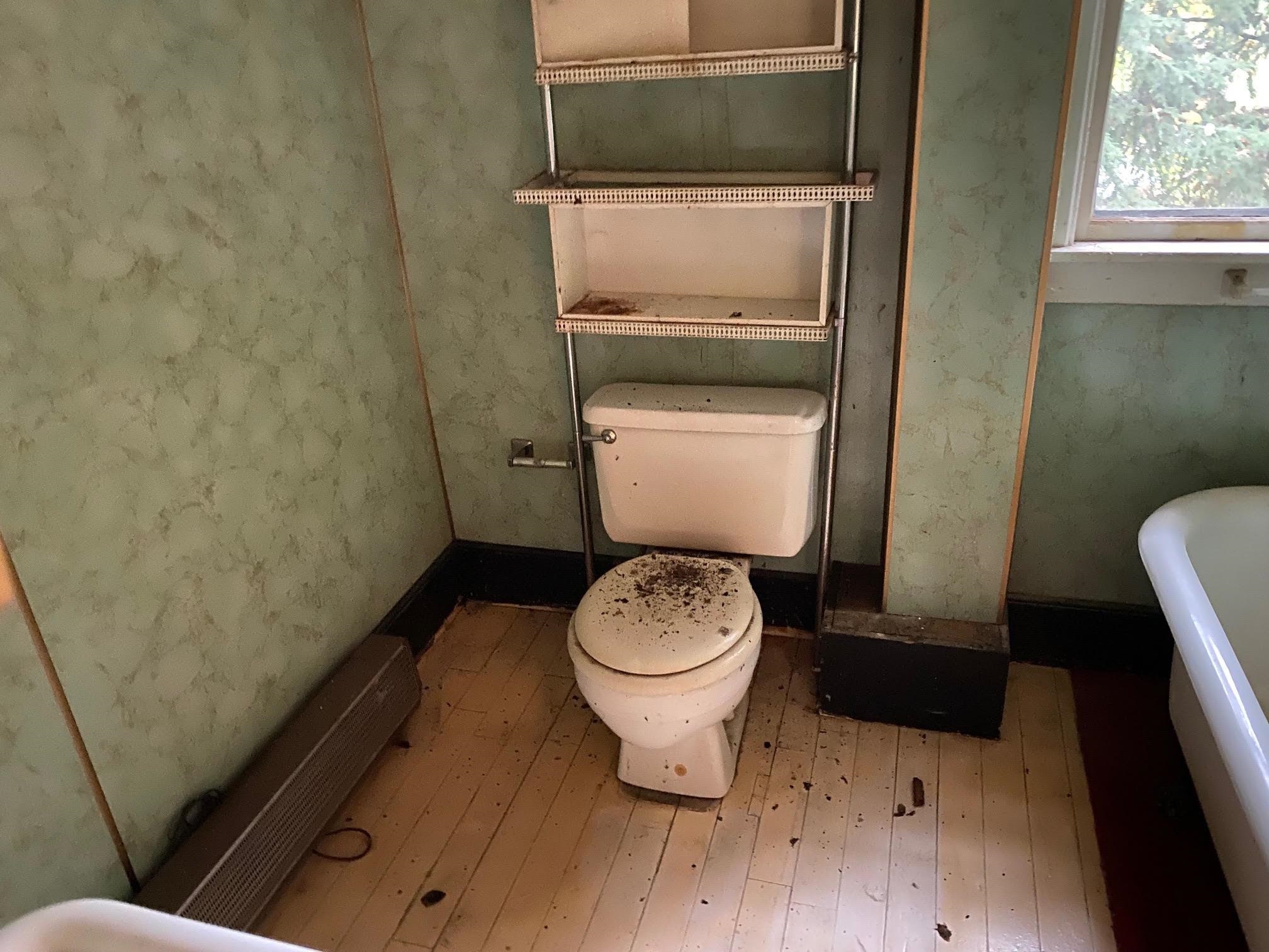 main property photo 14
