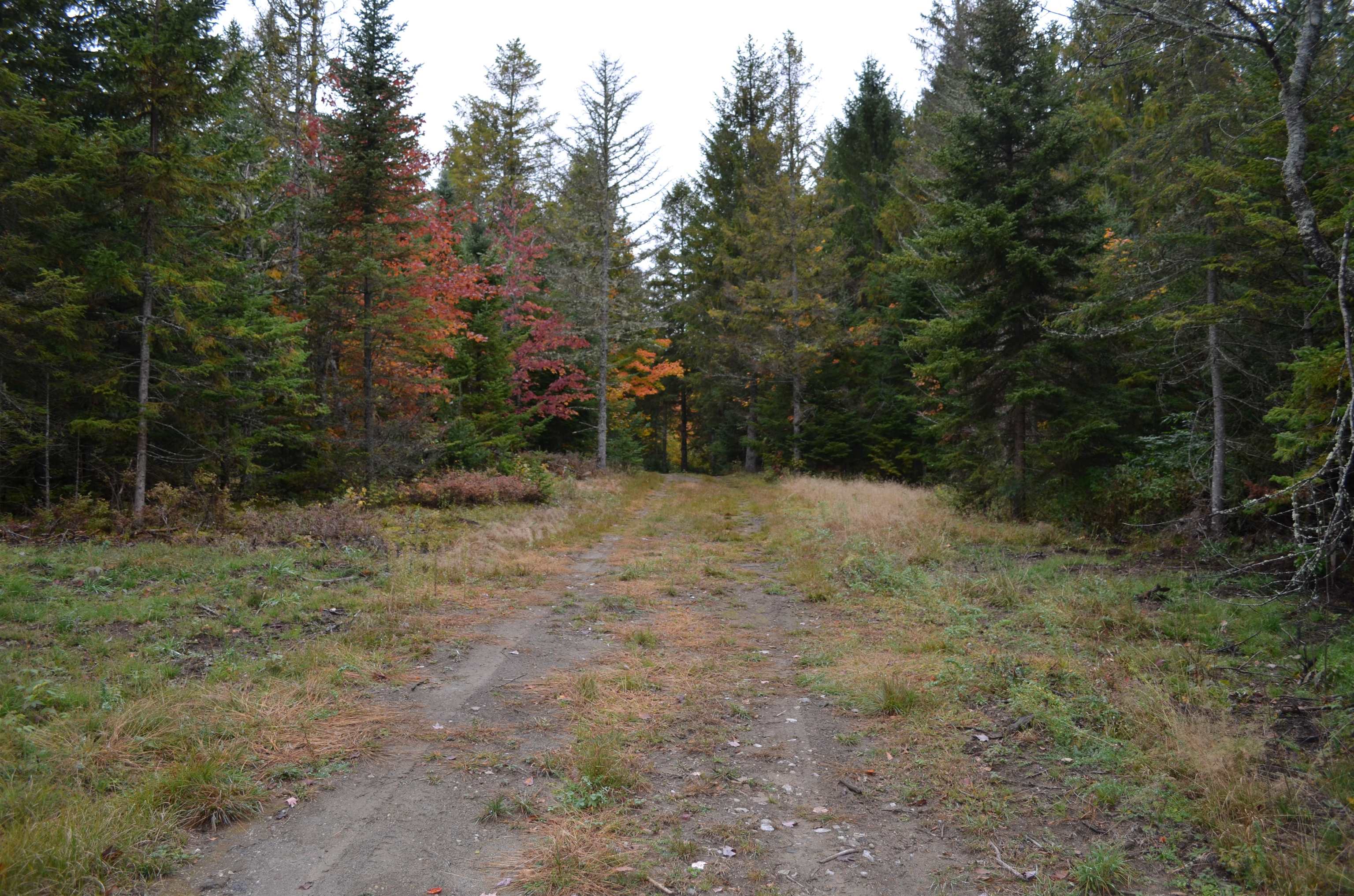 main property photo 24