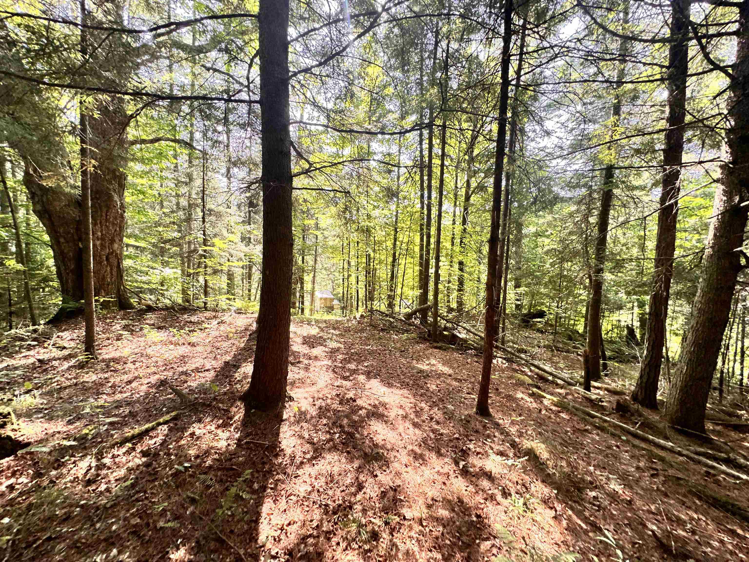 main property photo 9
