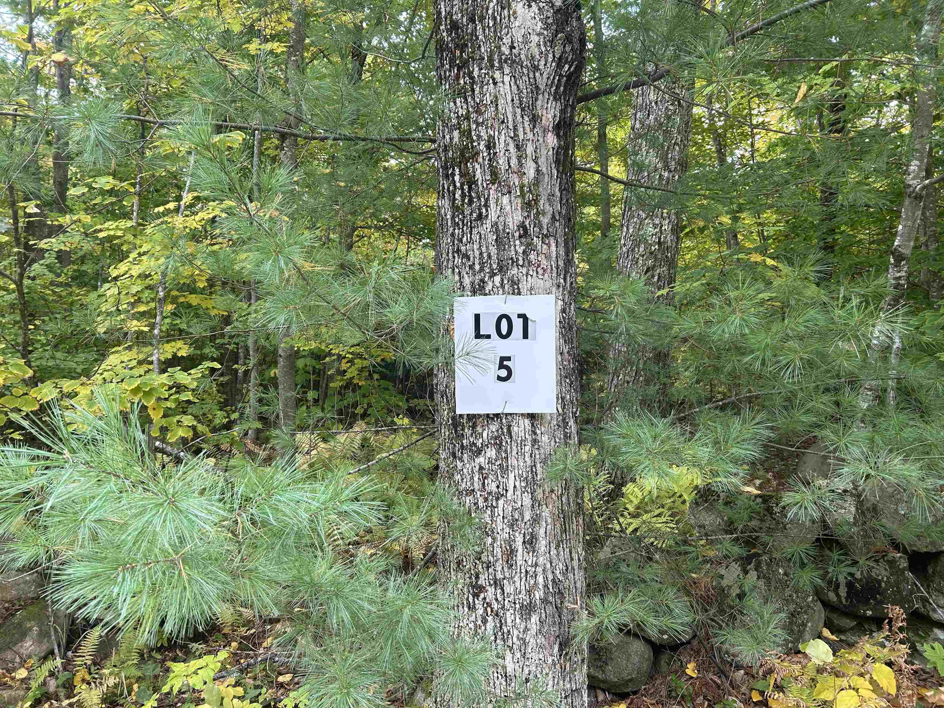 main property photo 3
