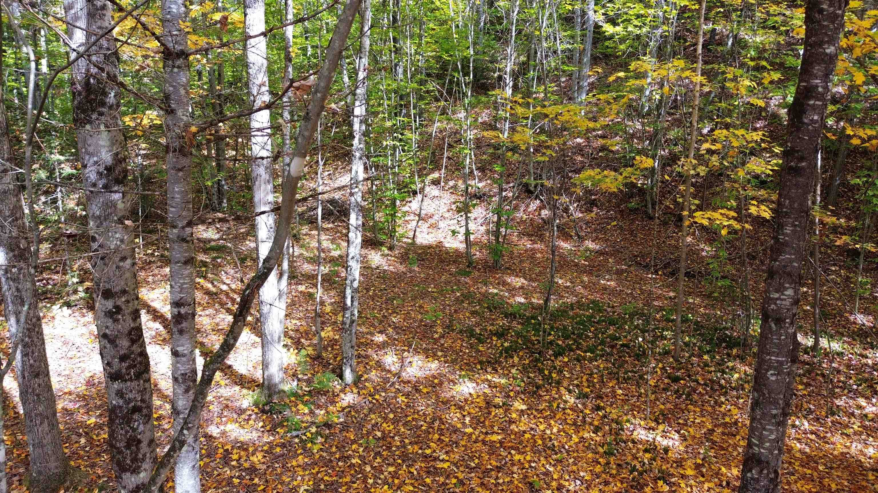 main property photo 28